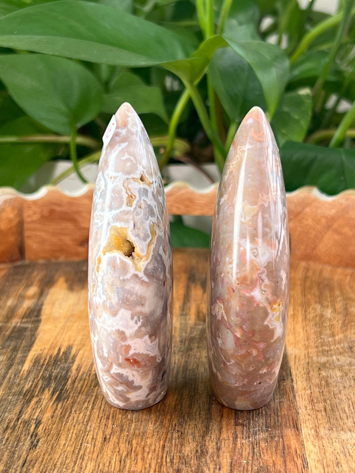 Sumatra Plume Agate Flames