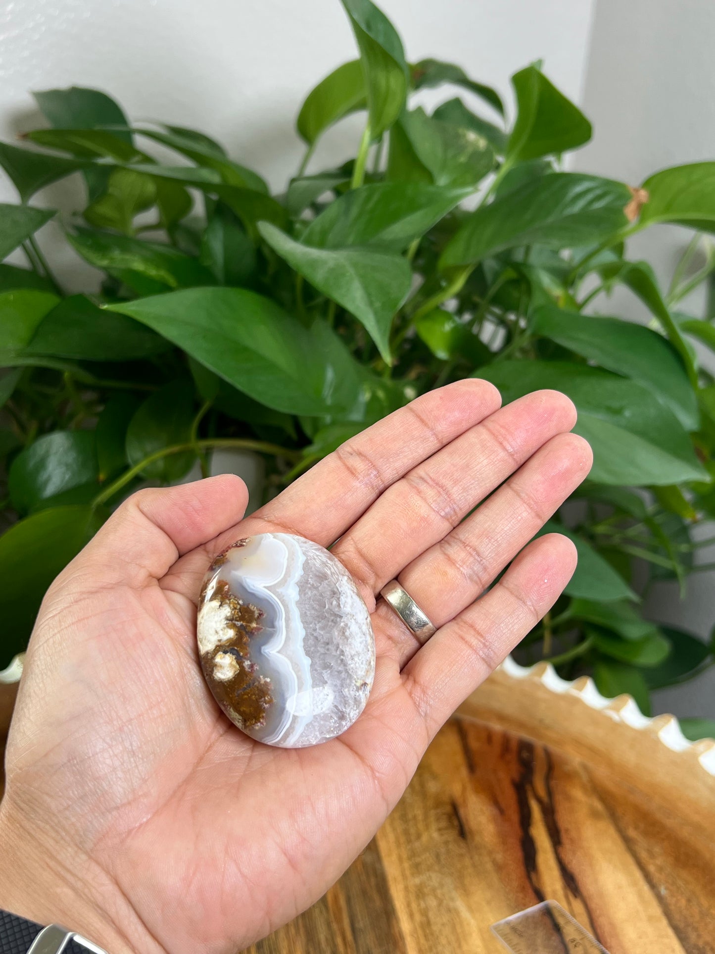 Scenic Moss Agate Palmstone: A