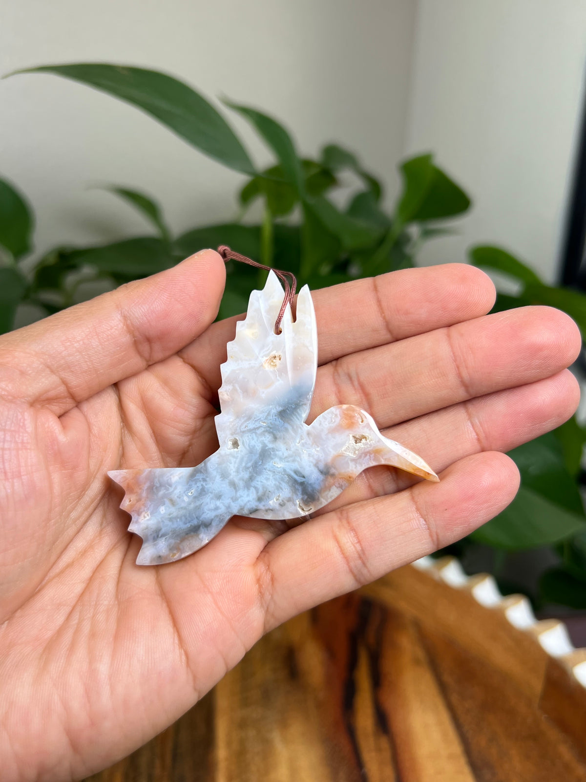 Rainbow Plume Agate Hummingbird: LA