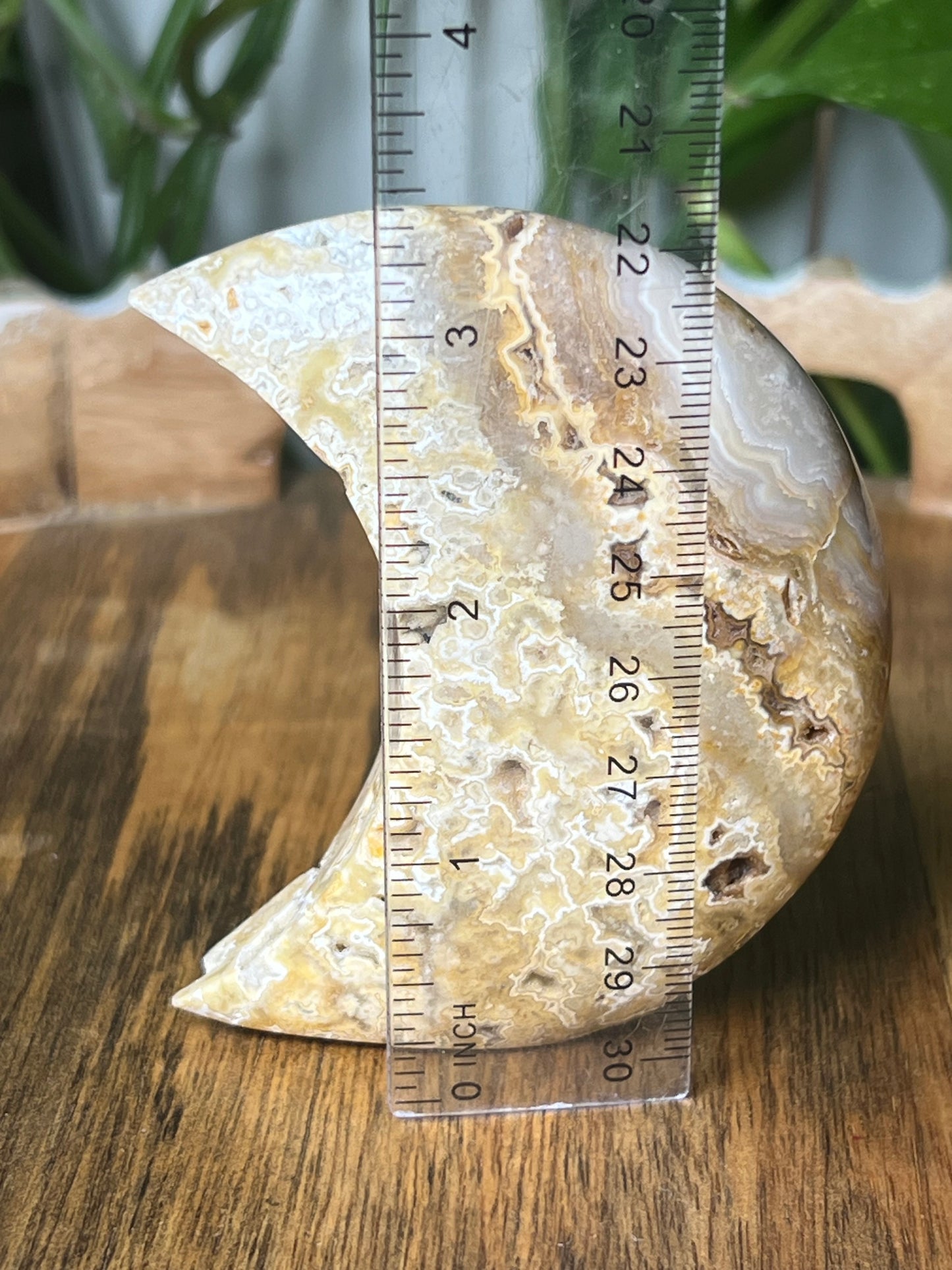 Yellow Crazy Lace Agate Moon