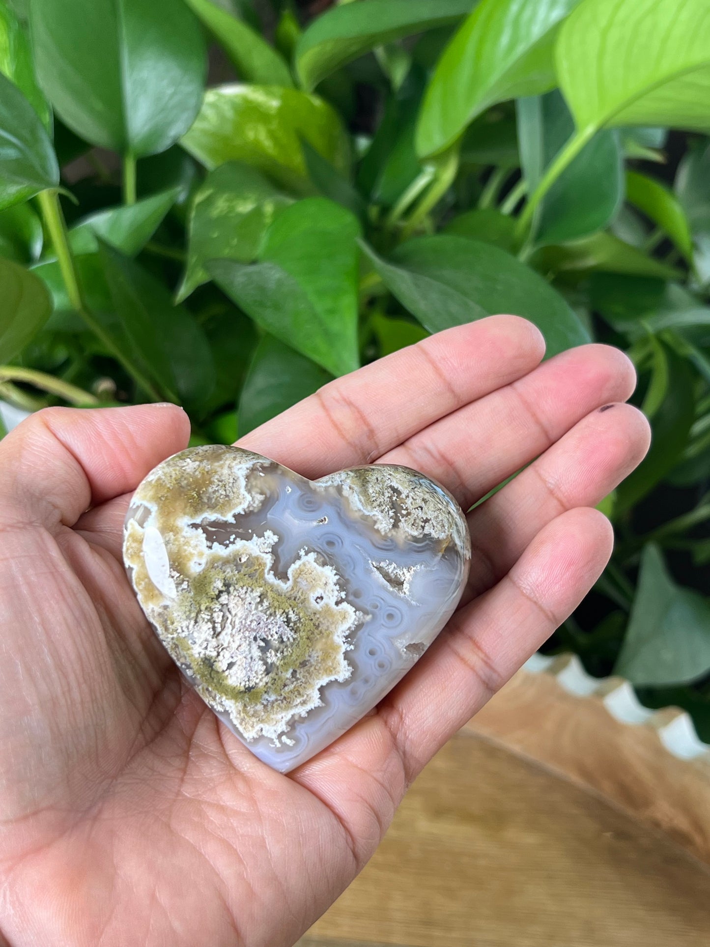 Scenic Moss Agate Heart
