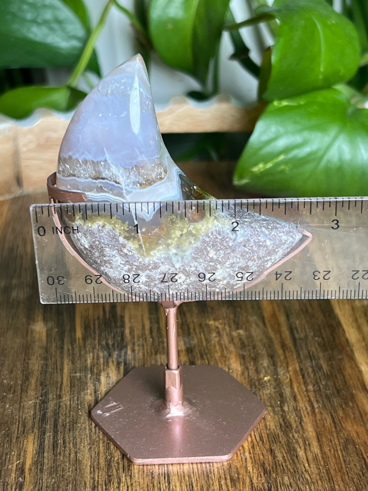 Scenic Moss Agate Moon