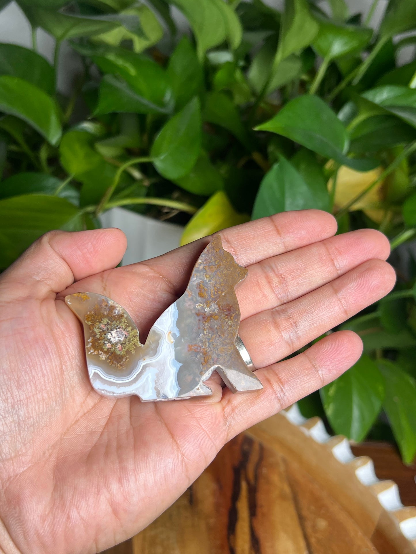 Scenic Moss Agate Fox Pi