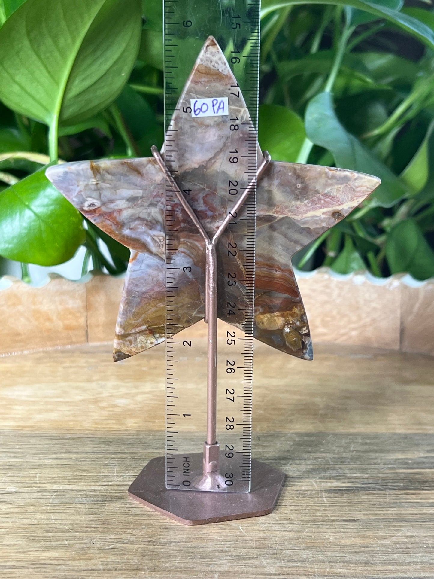 River Jasper Star