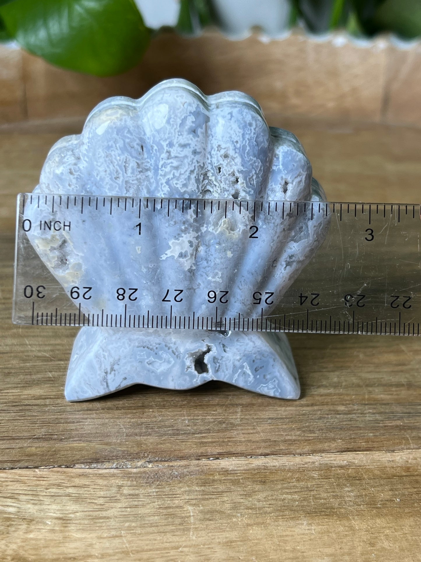 Blue Plume Agate Shell
