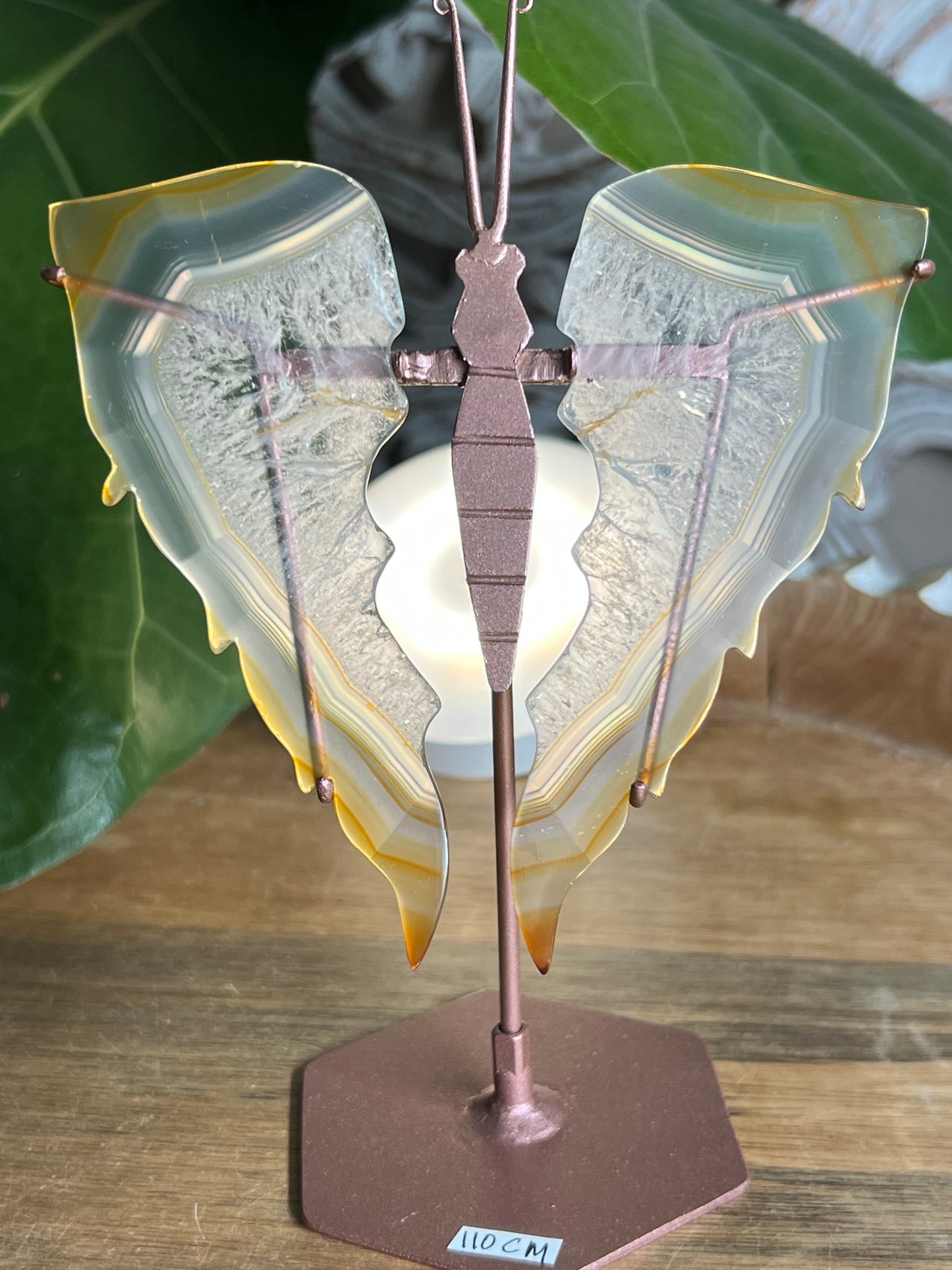 Iris Agate Wings