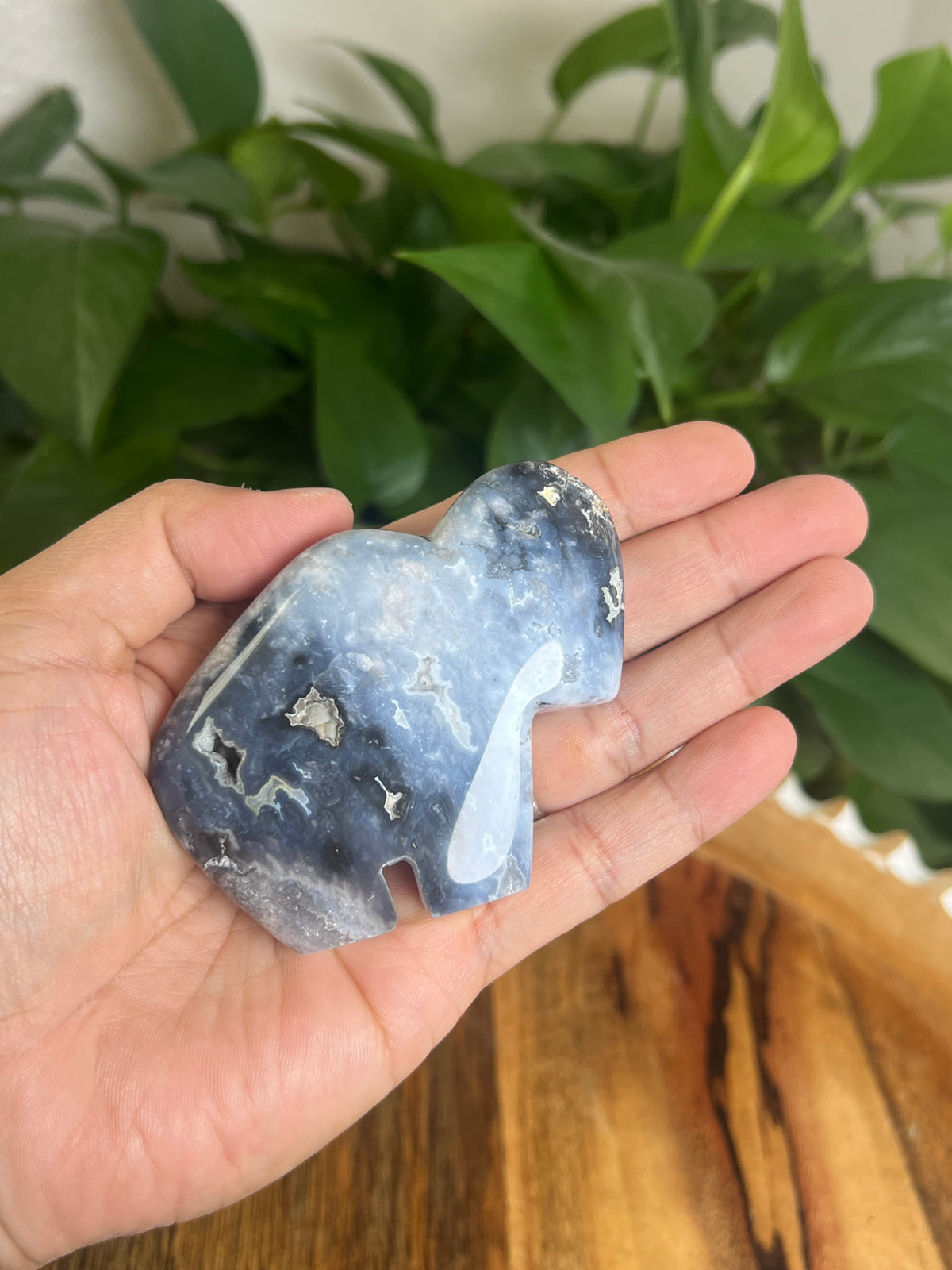 Blue Plume Agate Buffalo: BN