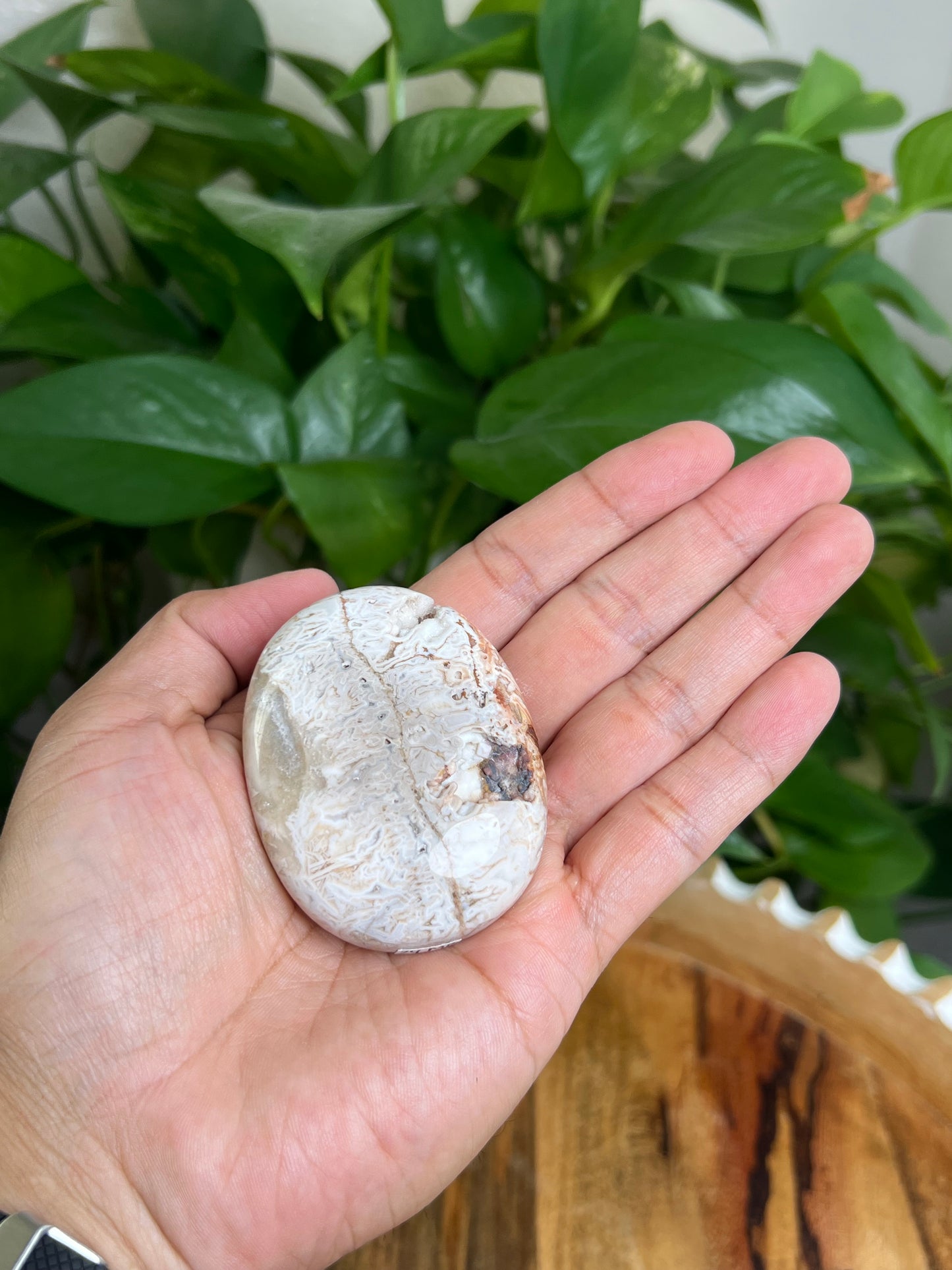 Tube Agate Palmstone: MB
