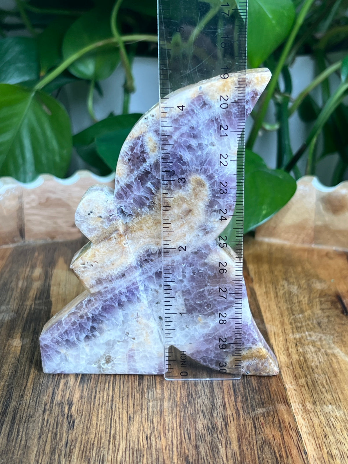 Indonesian Amethyst Fairy: SA