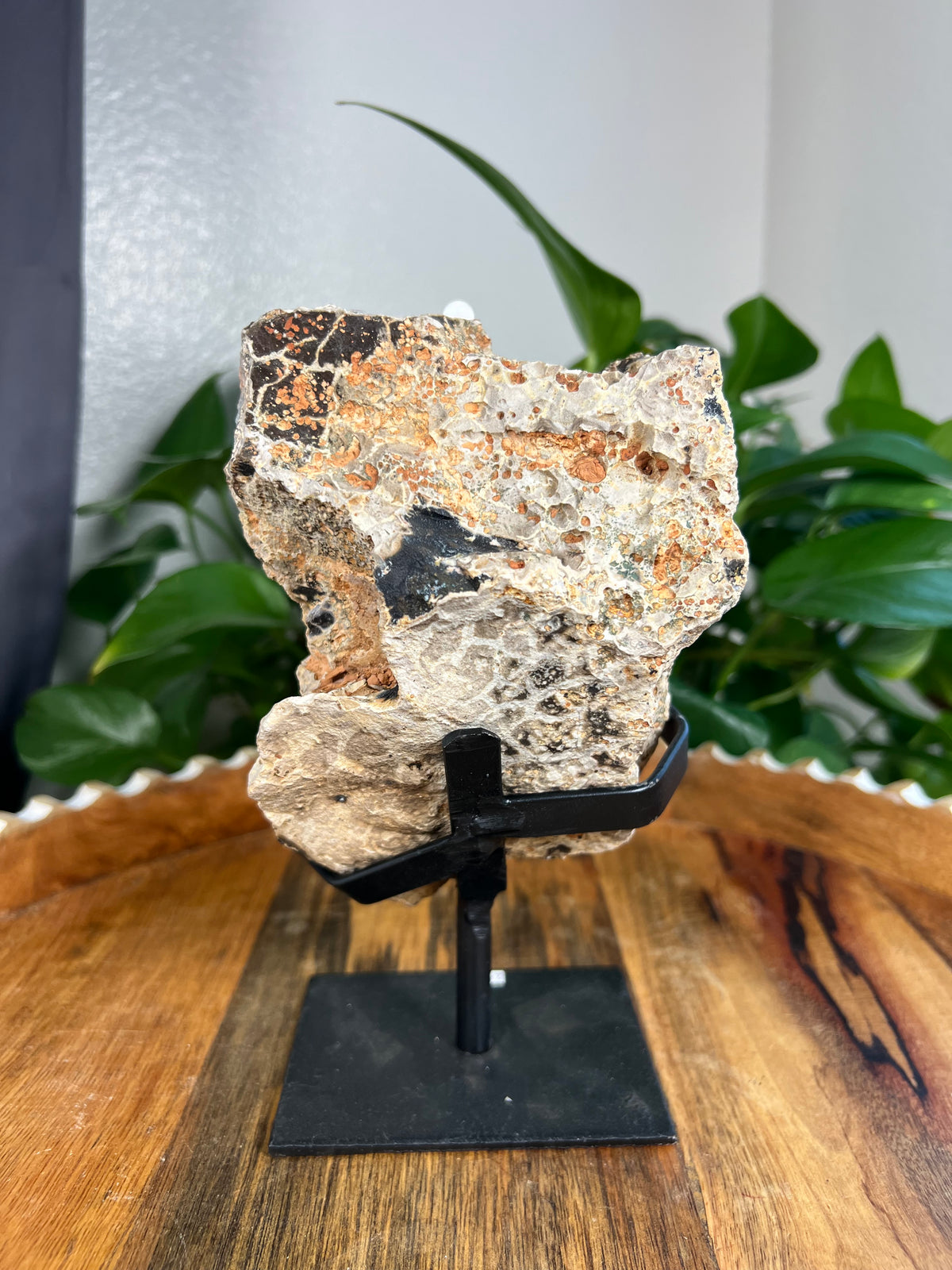 Brazilian Druzy Agate: EL