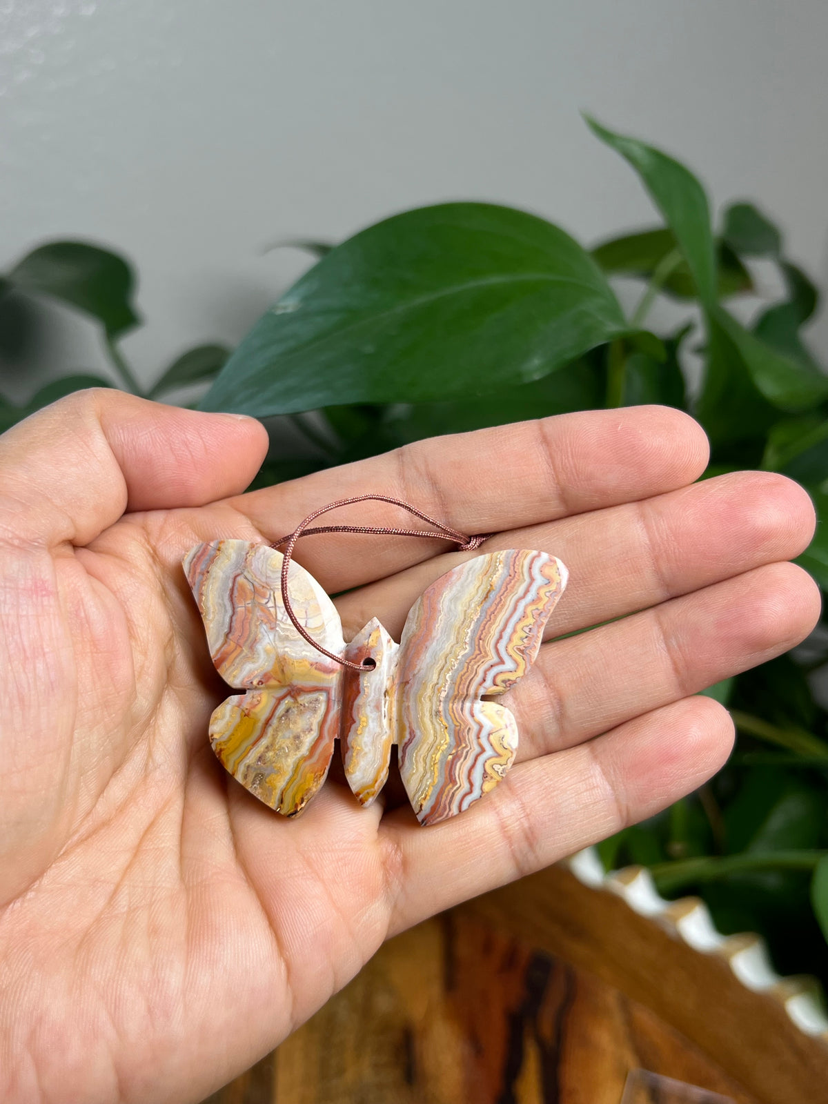 Crazy Lace Agate Ornament Butterfly: BF