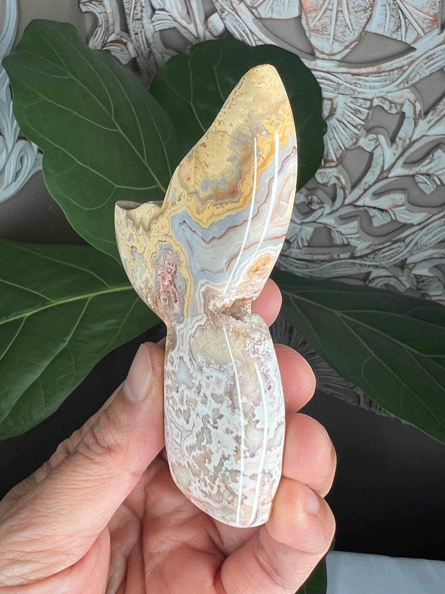 Crazy Lace Agate Tail