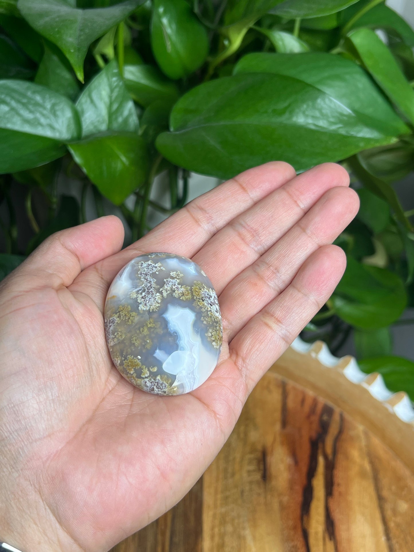 Scenic Moss Agate Palmstone: BQ