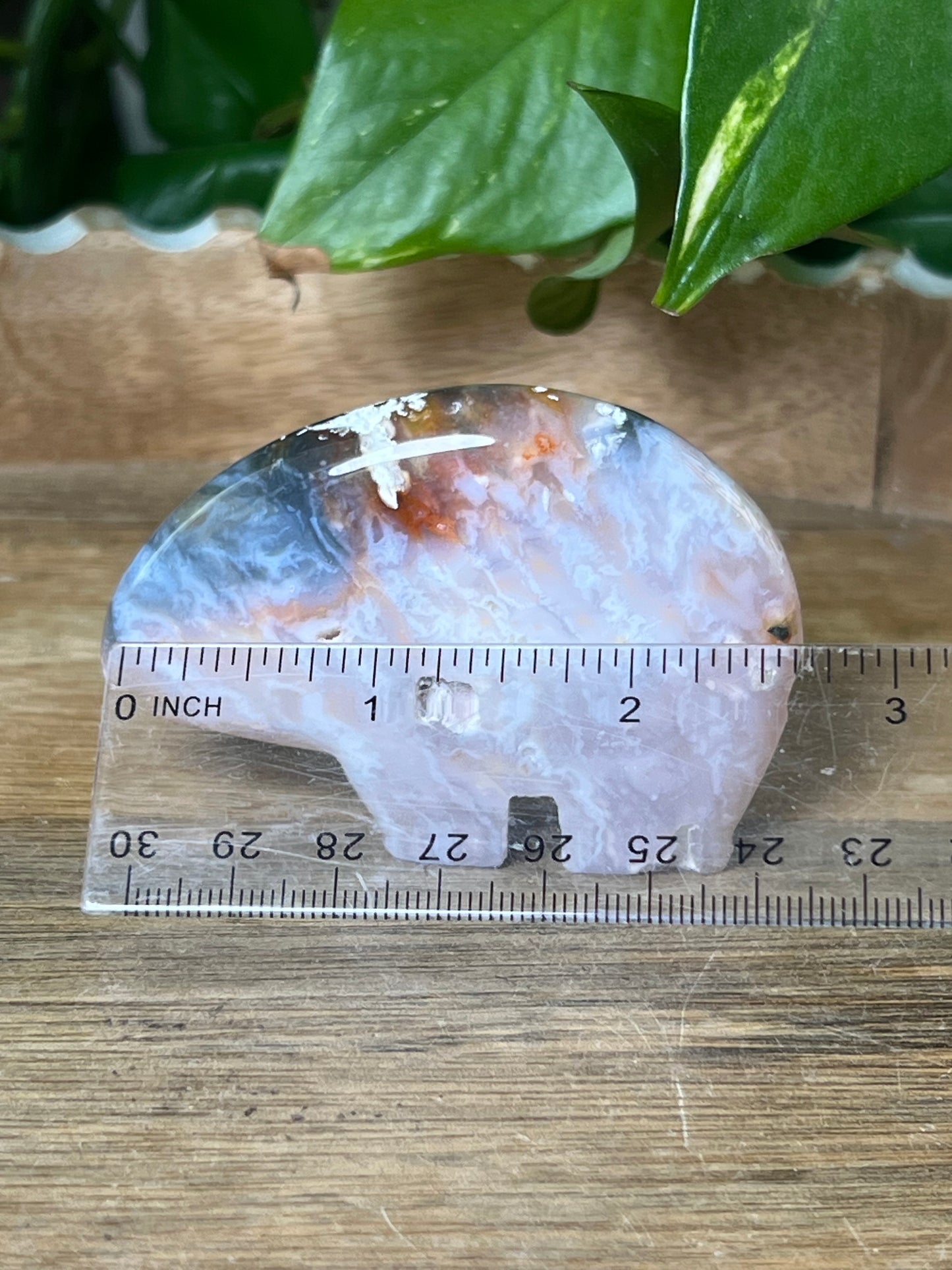 Rainbow Plume Agate Bear