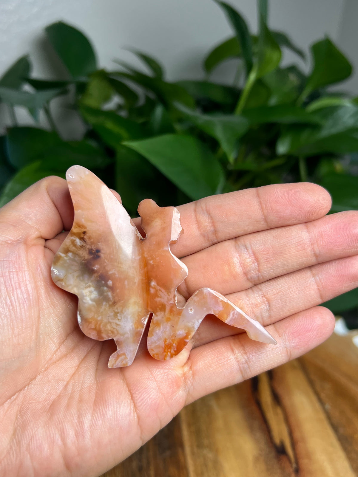Carnelian Pixie Fairy: AK