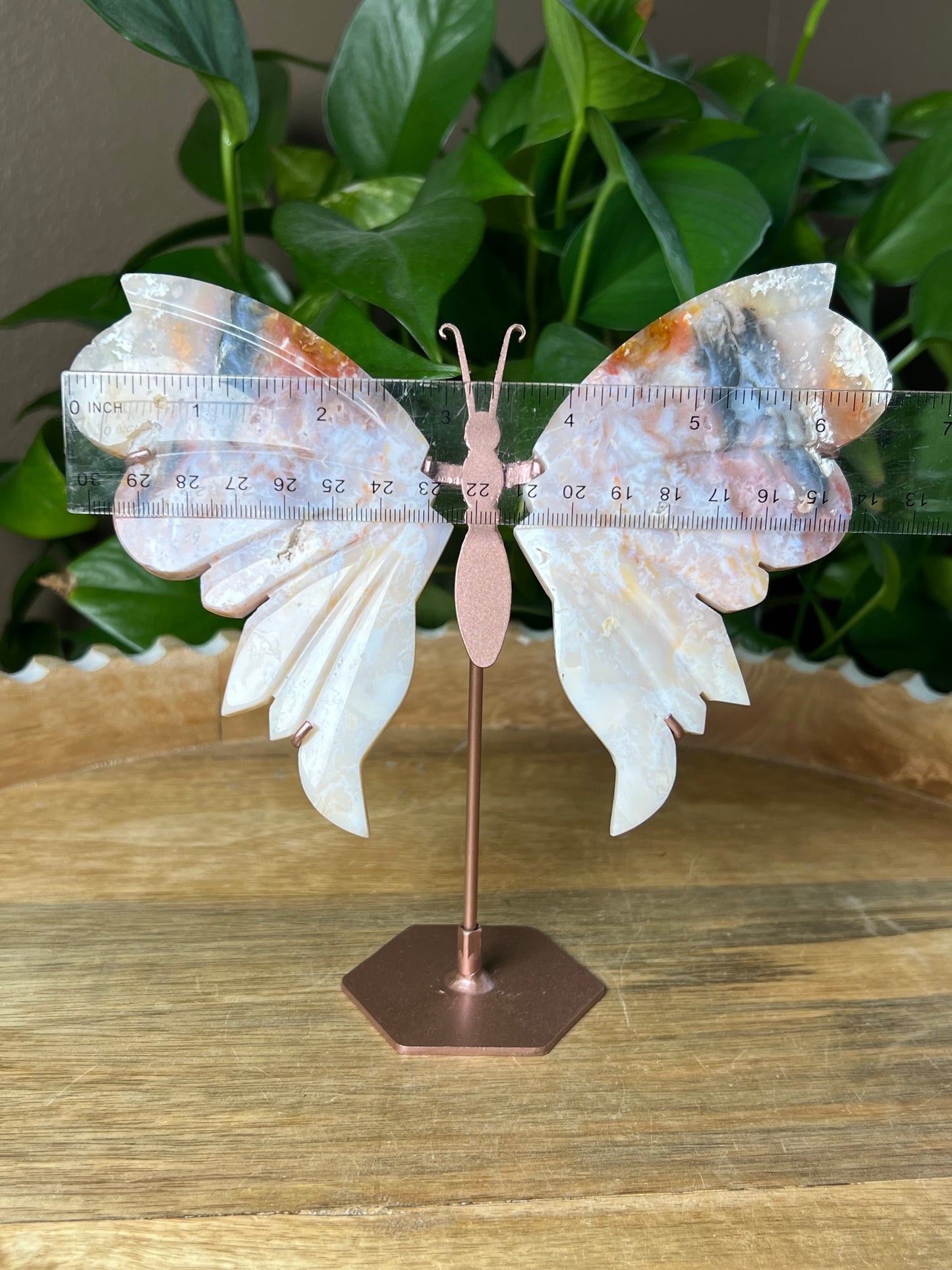 Rainbow Plume Agate Wings