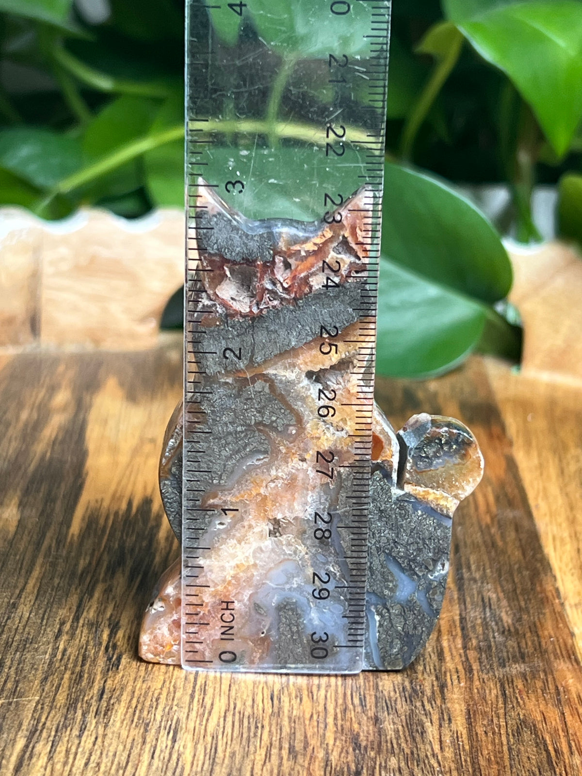 Marcasite Cat: DB