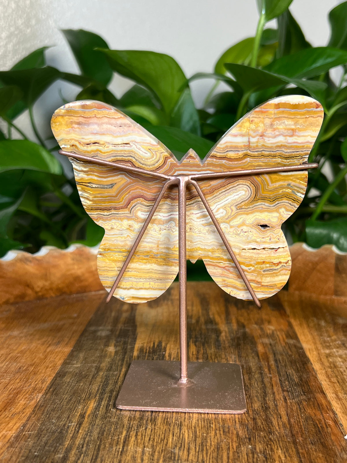 Crazy Lace Agate Butterflies