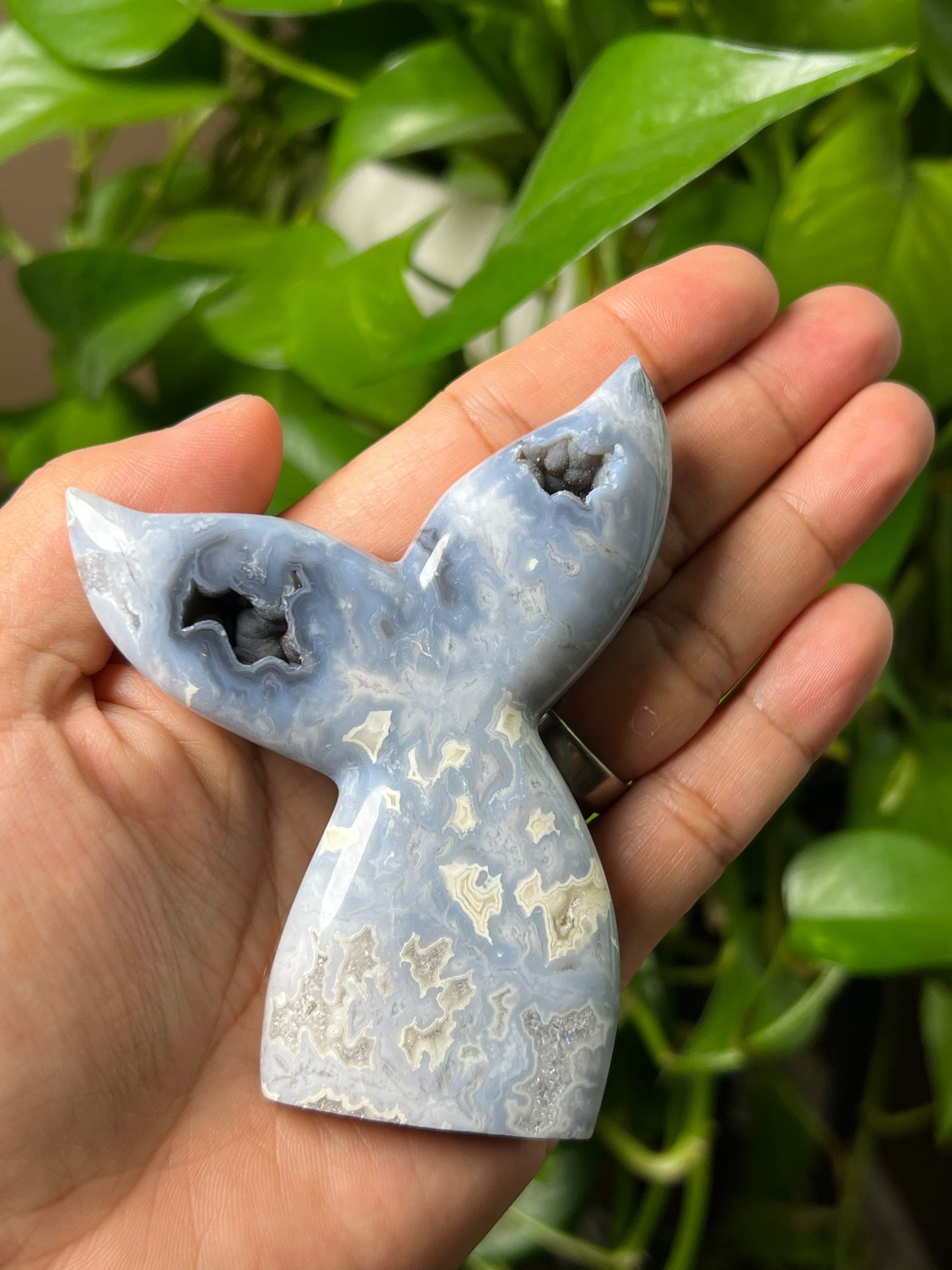 Blue Plume Agate Tail