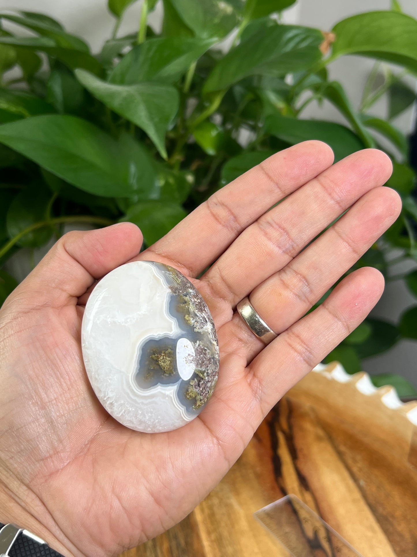 Scenic Moss Agate Palmstone: RH