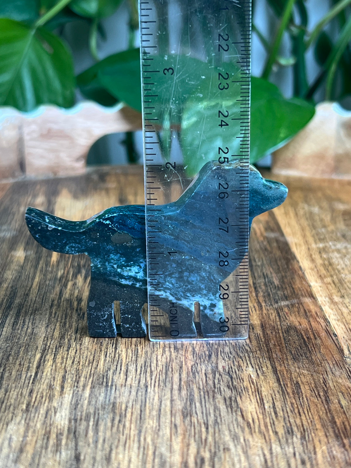 Blue Green Jasper Dog: BE