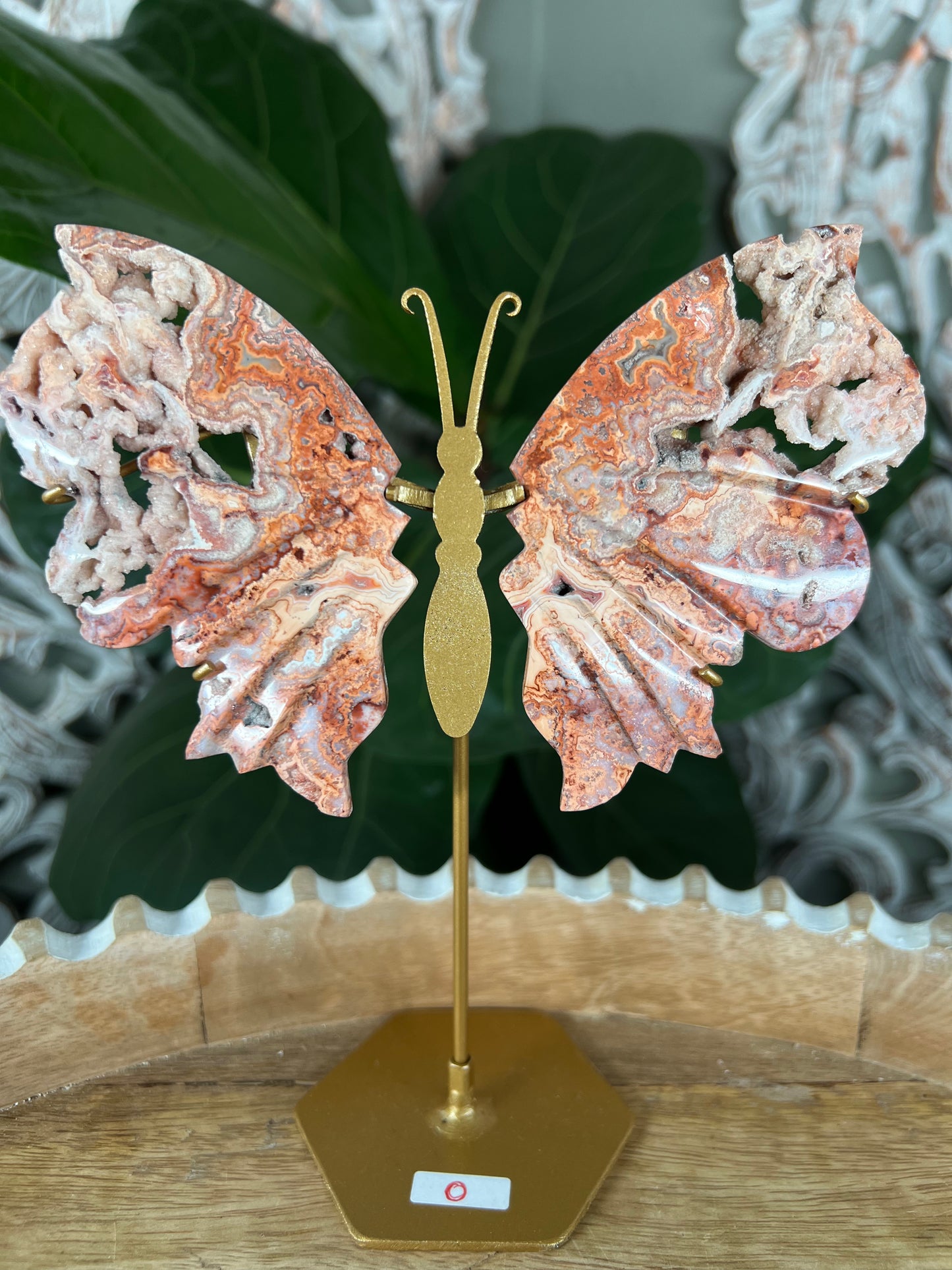 Crazy Lace Agate Wings