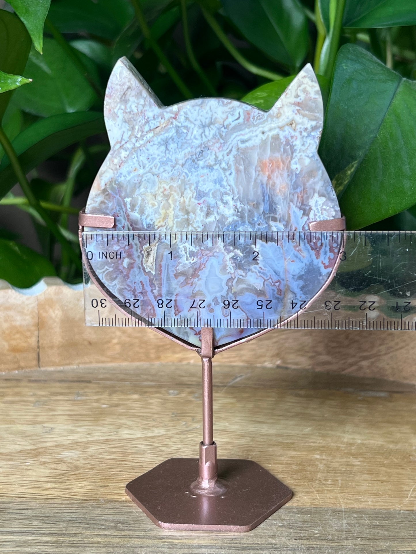 Sumatra Plume Agate Cat Head
