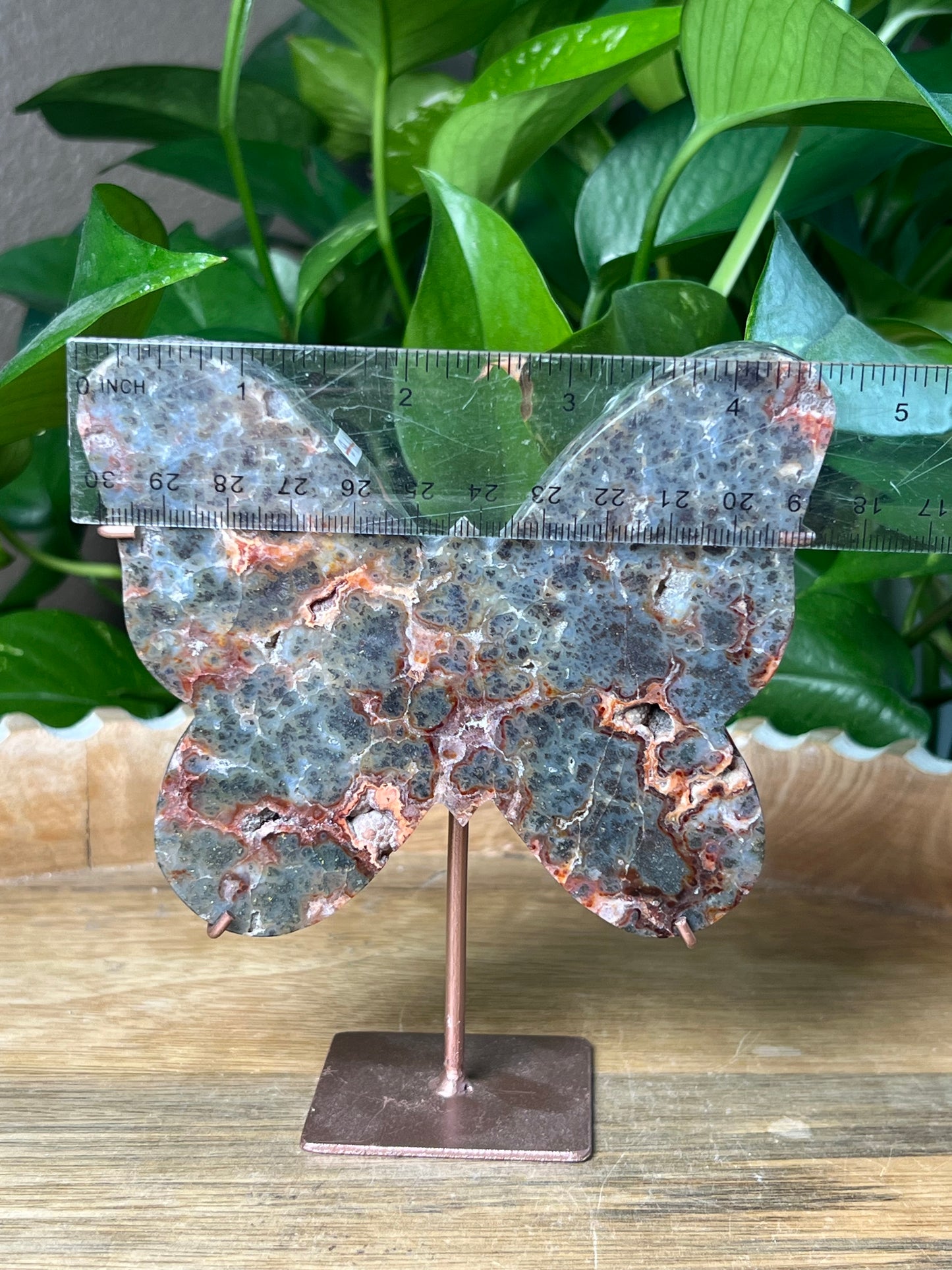 Marcasite Butterfly