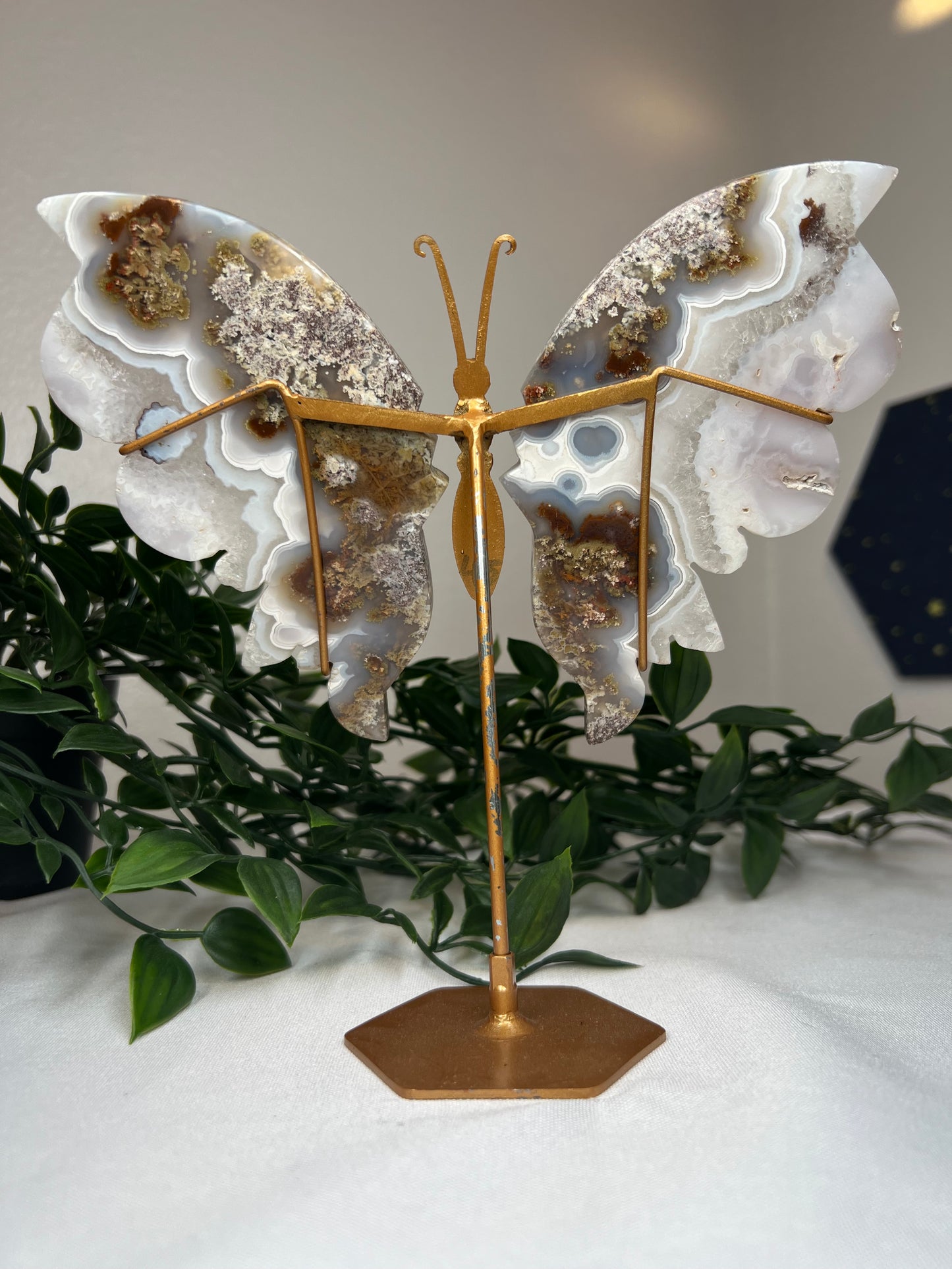 Scenic Moss Agate Wings