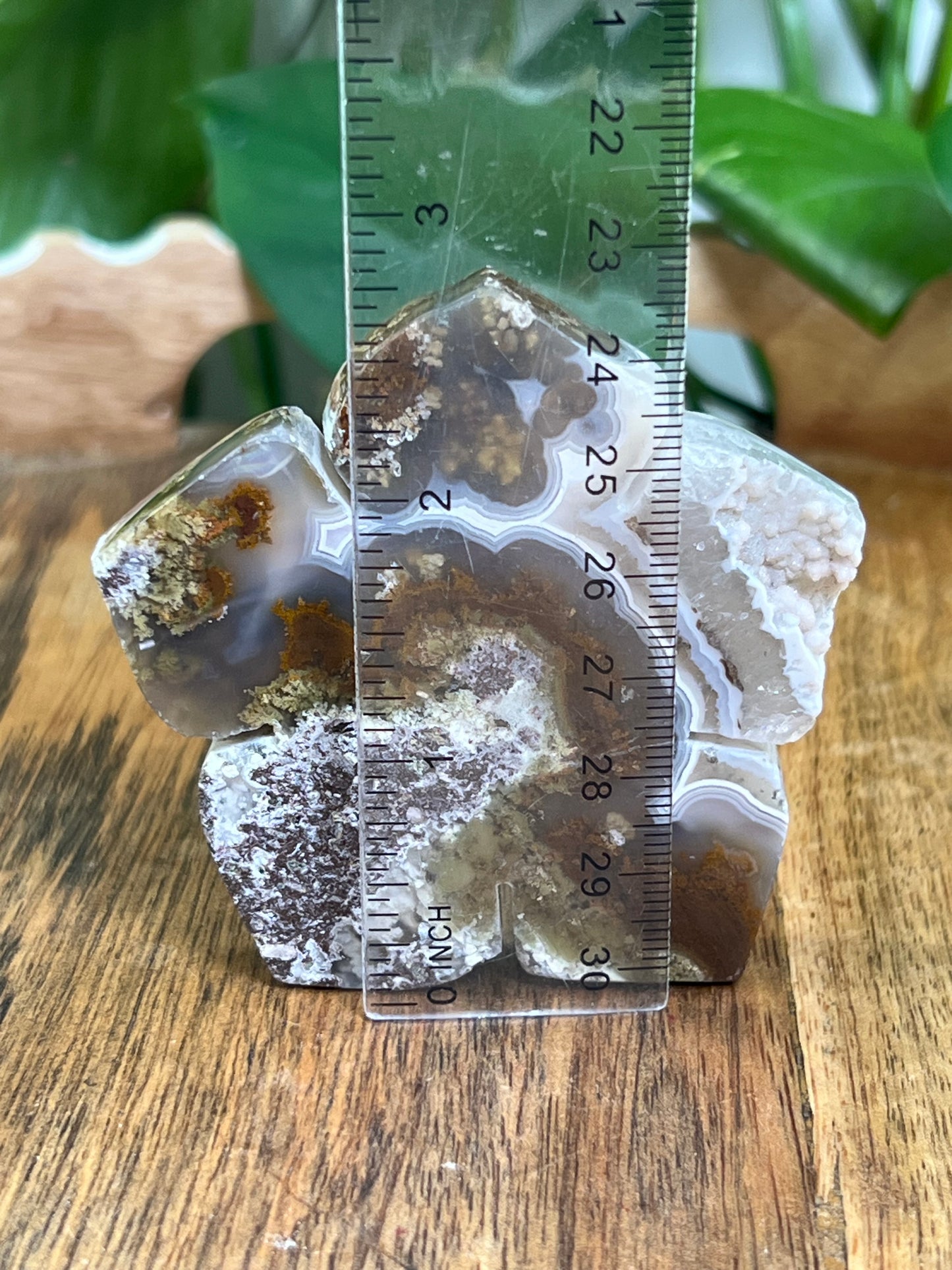 Scenic Moss Agate Flower PB