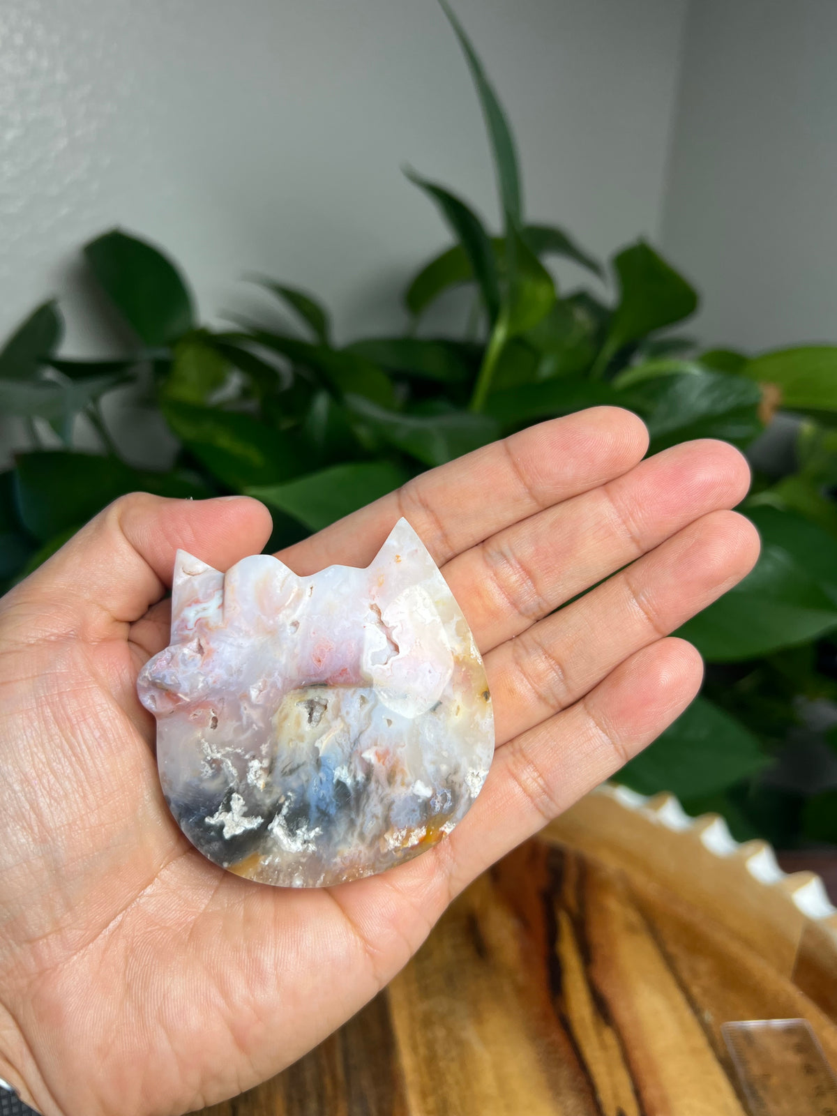 Rainbow Plume Agate Cat: FB