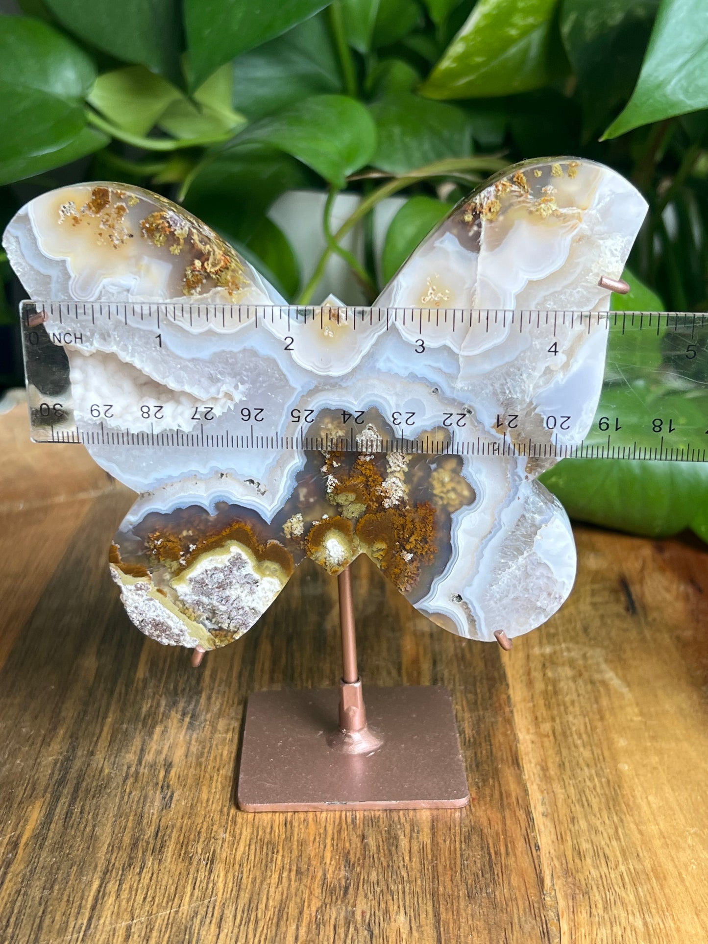 Scenic Moss Agate Butterfly
