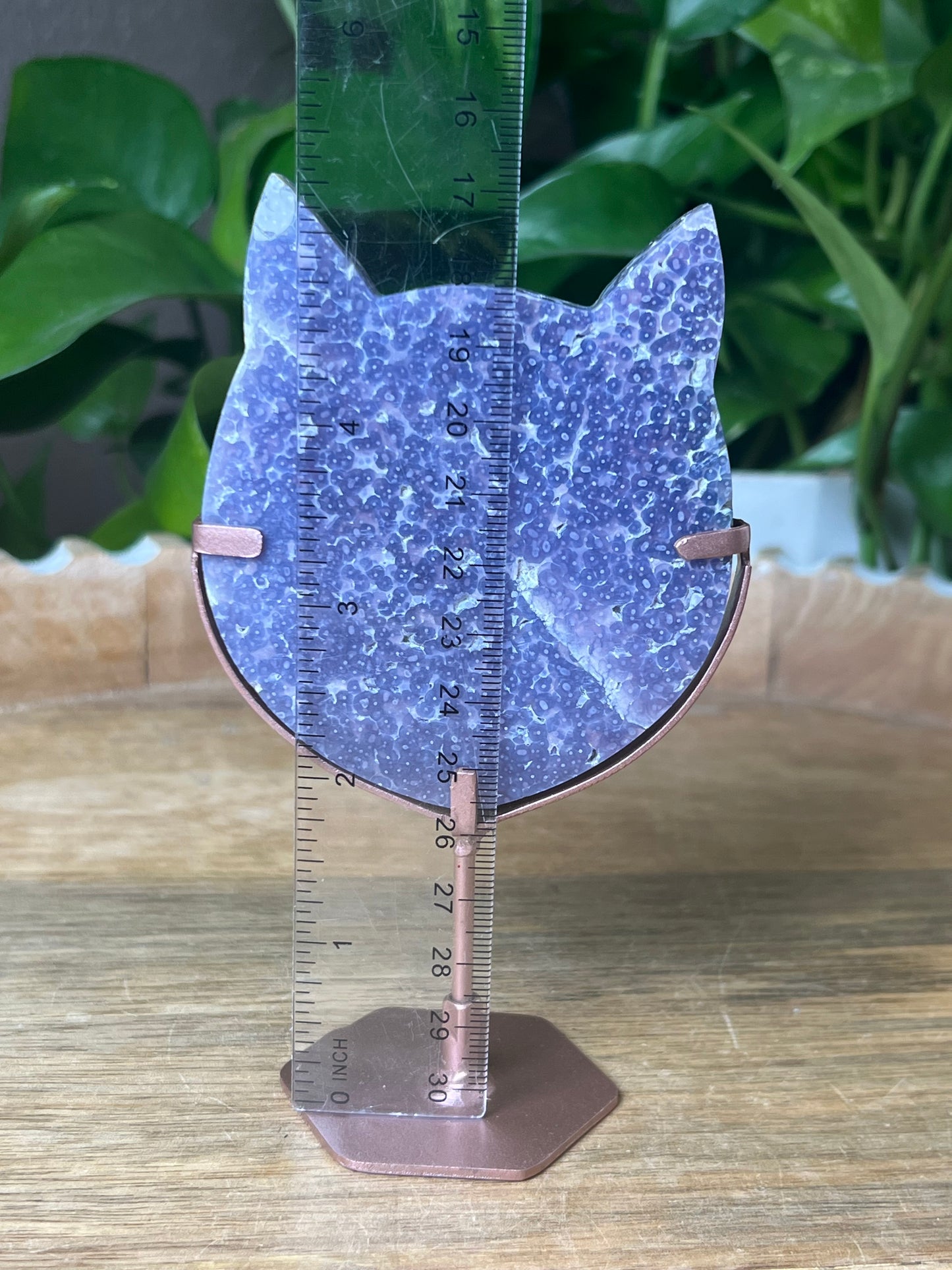 Grape Agate Cat