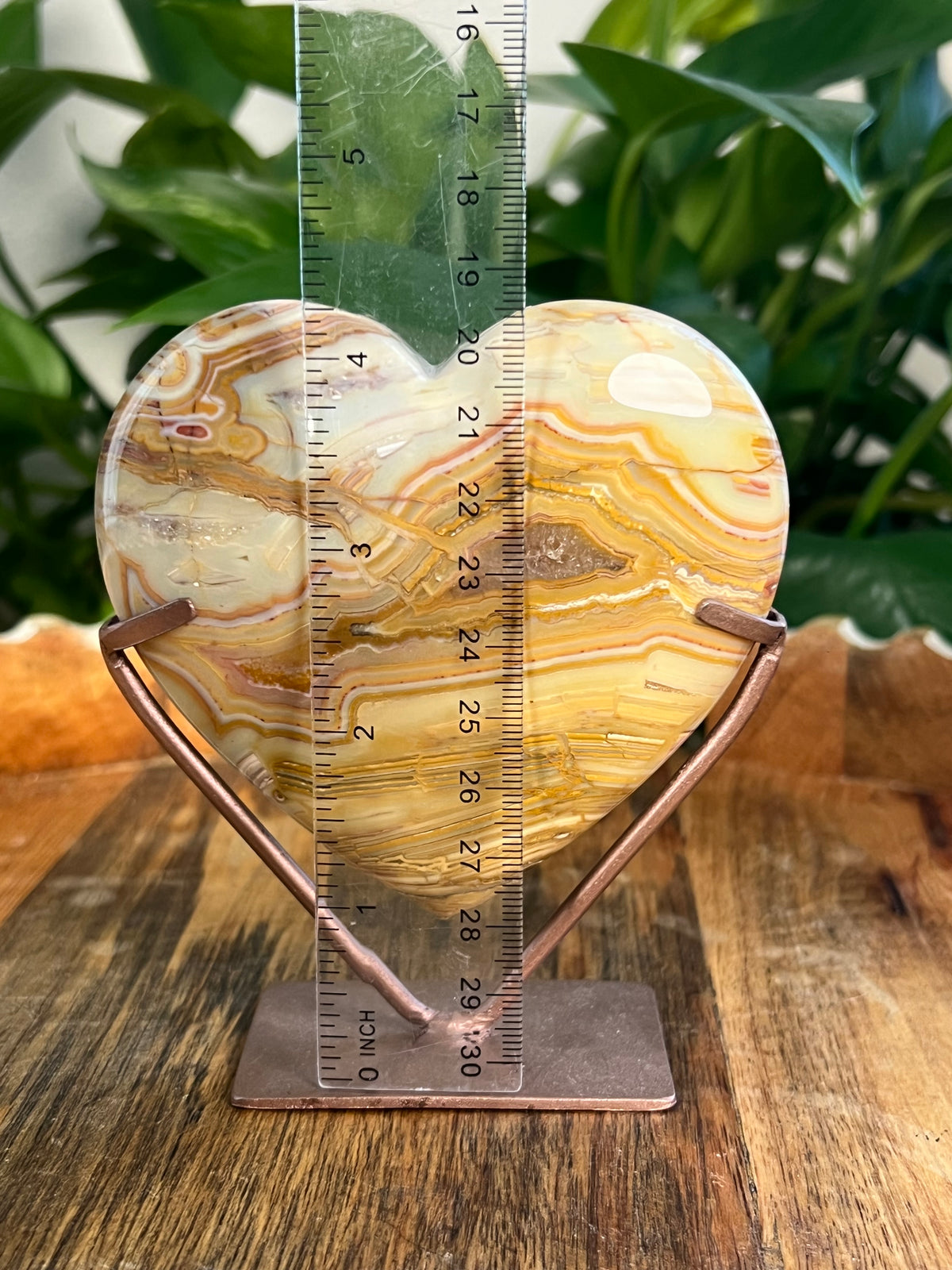 Crazy Lace Agate Heart: XS