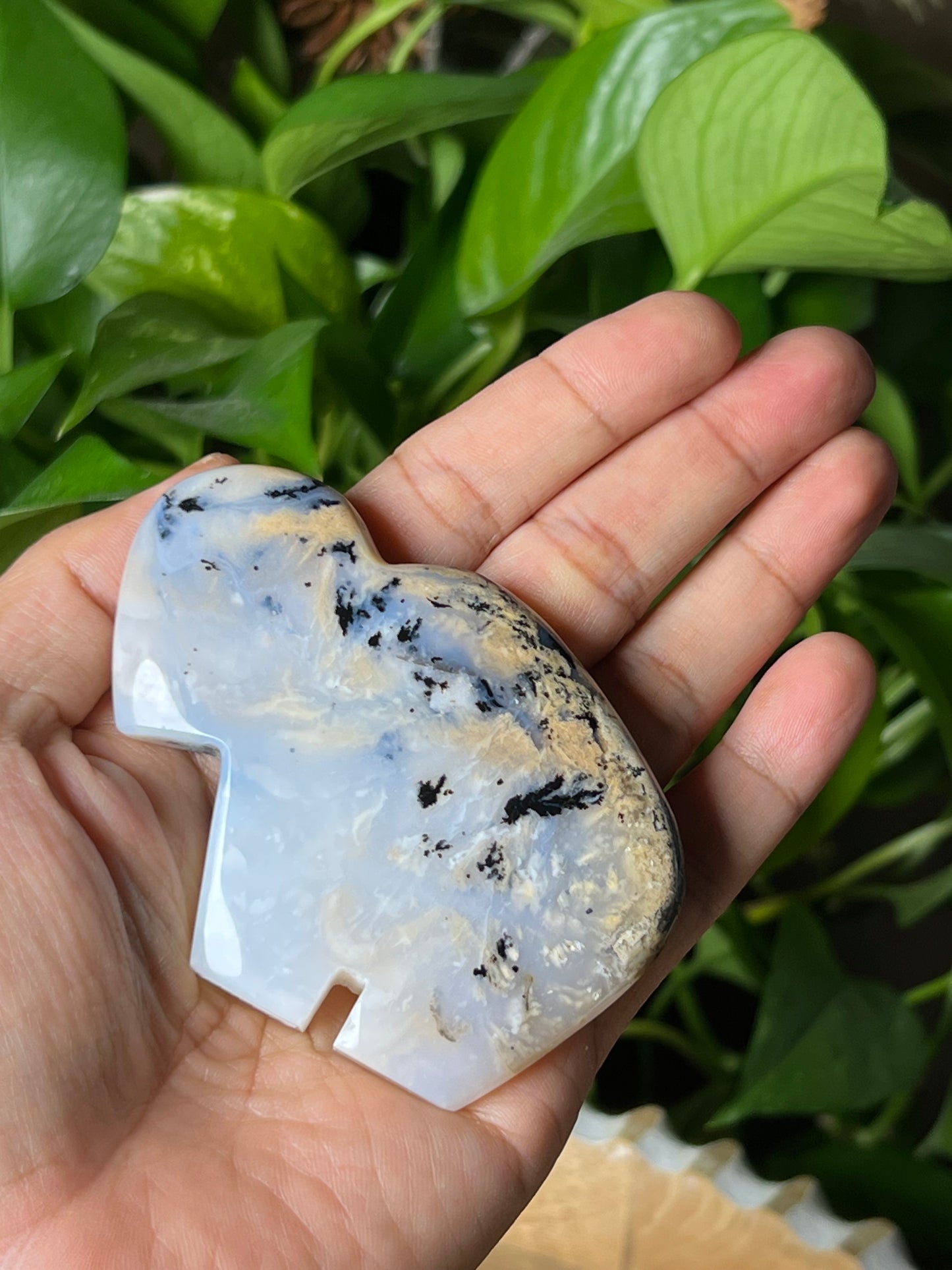 Dendritic Tiger Buffalo