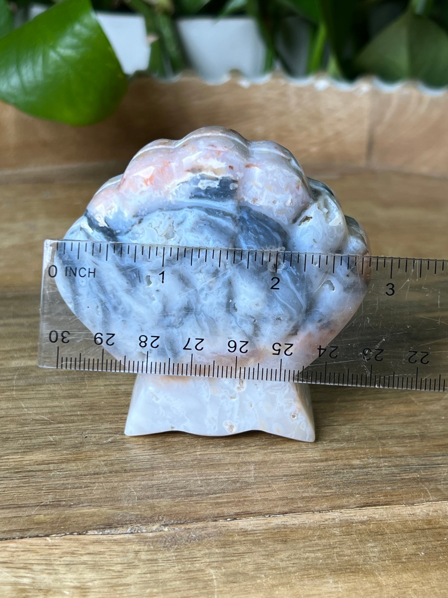 Rainbow Plume Agate Shell