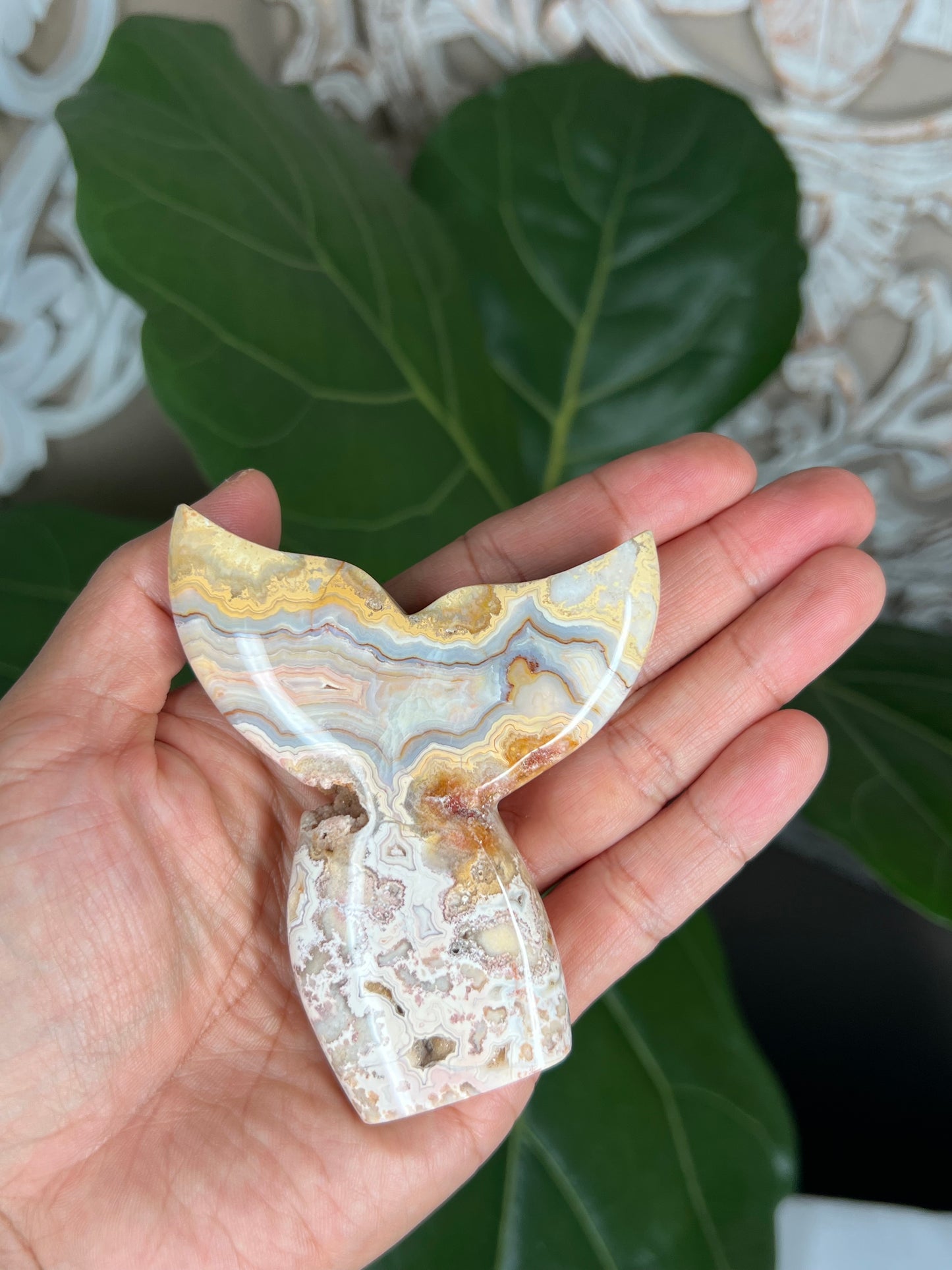 Crazy Lace Agate Tail