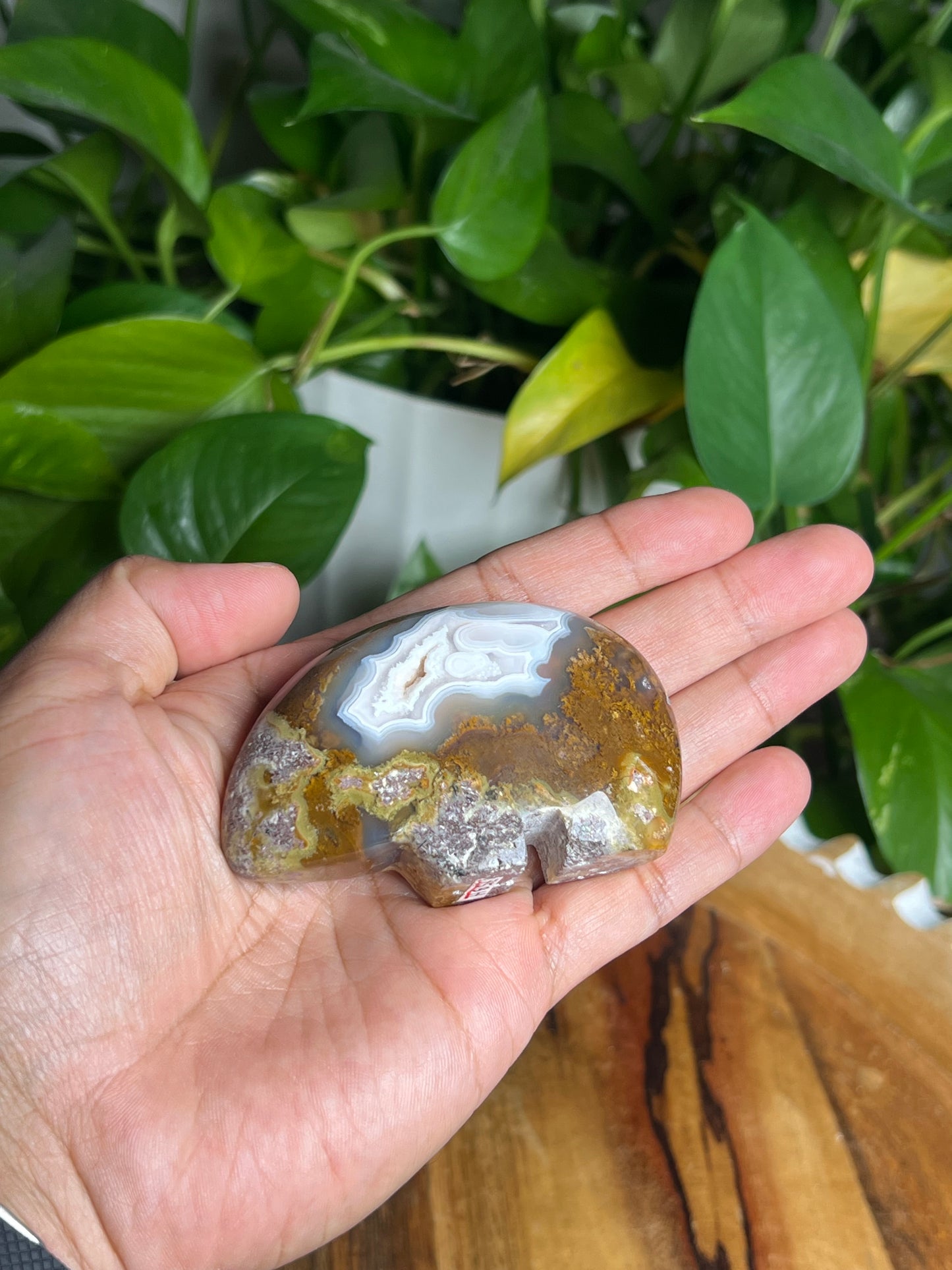 Scenic Moss Agate Bear BH