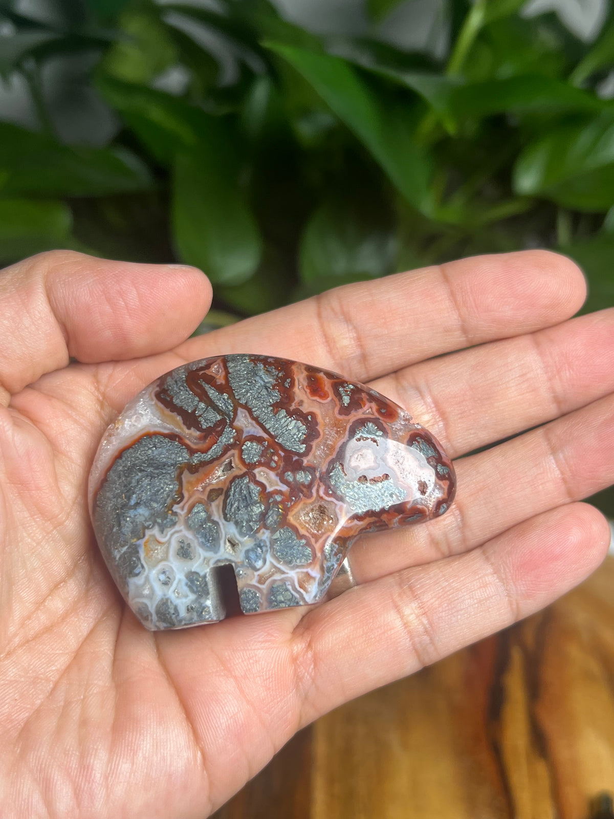 Marcasite Mini Bear: Ri