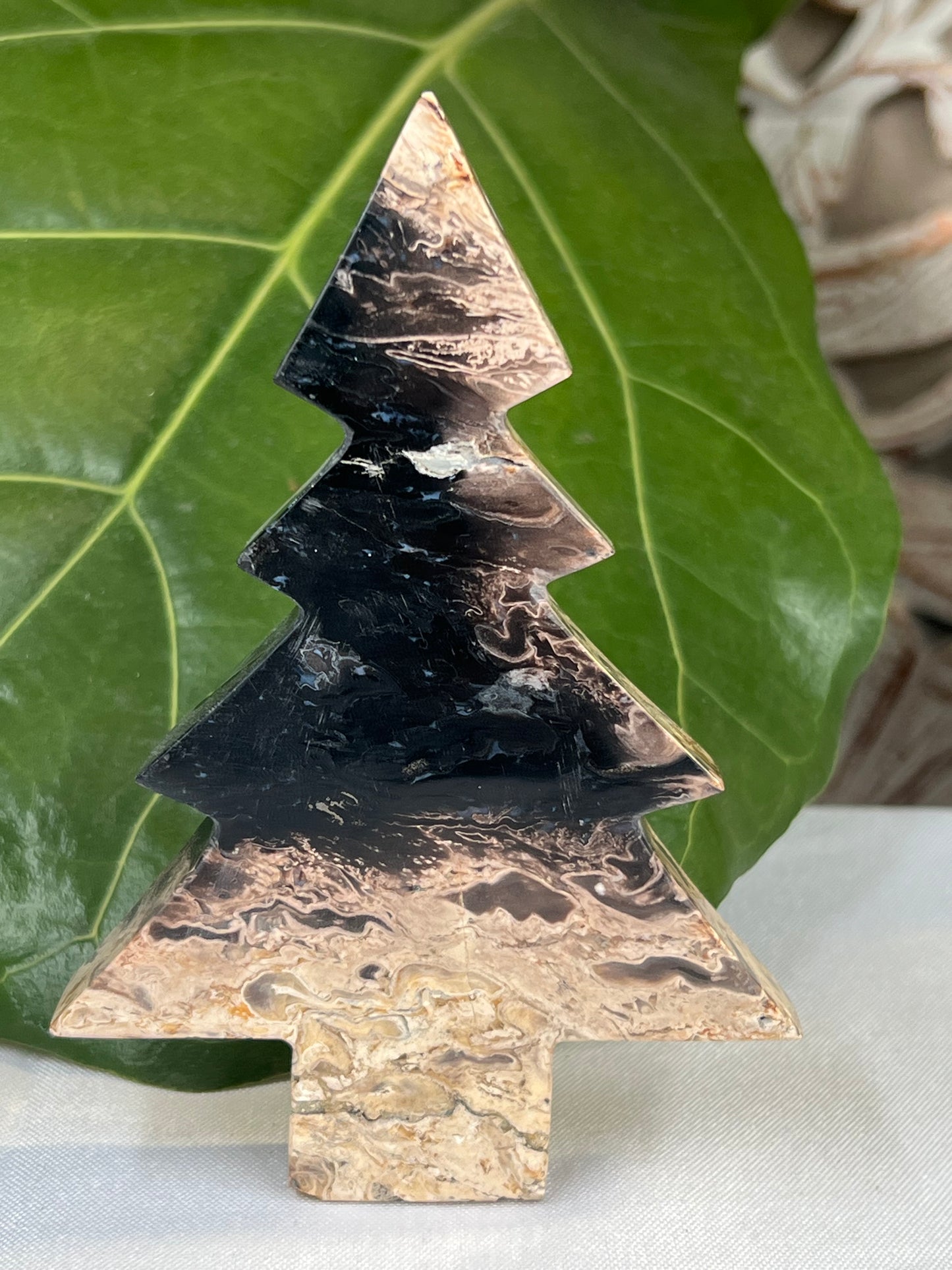Palm Root Tree