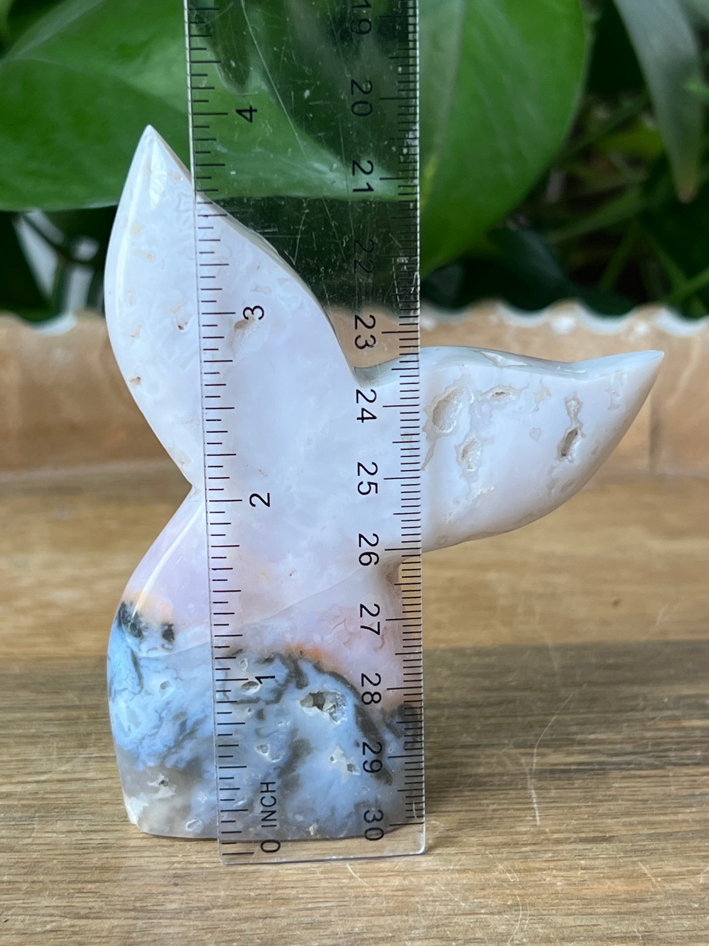 Rainbow Plume Agate Tail