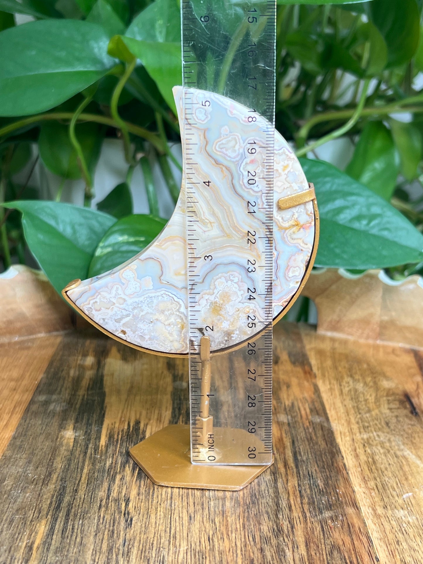 Yellow Crazy Lace Agate Moon: EB