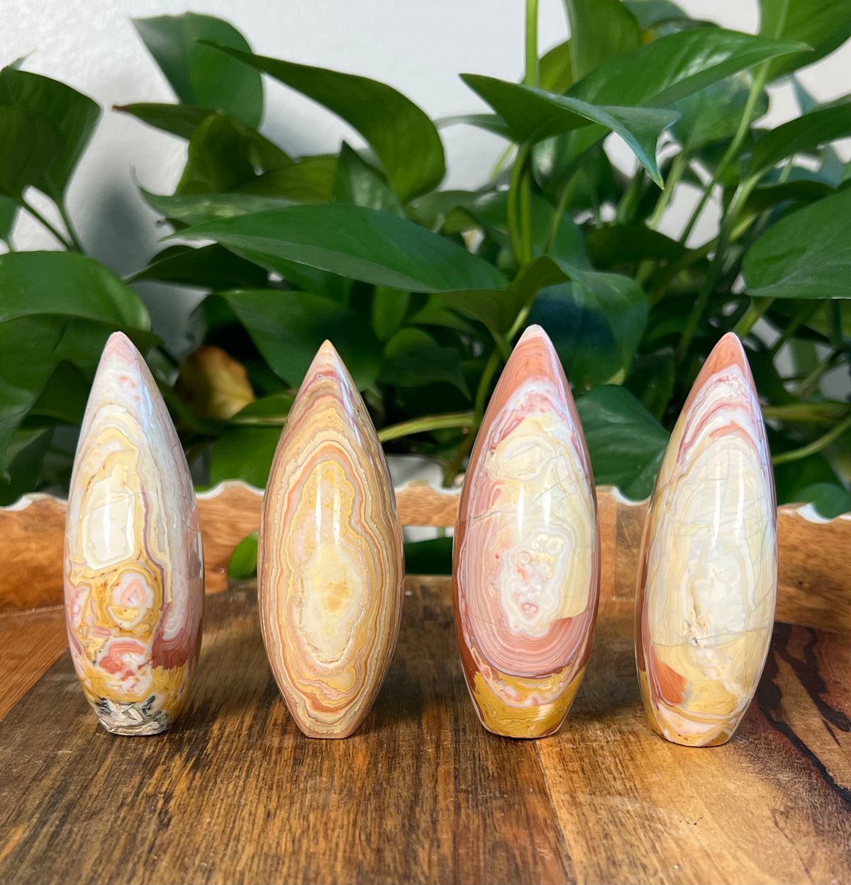 Crazy Lace Agate Flames