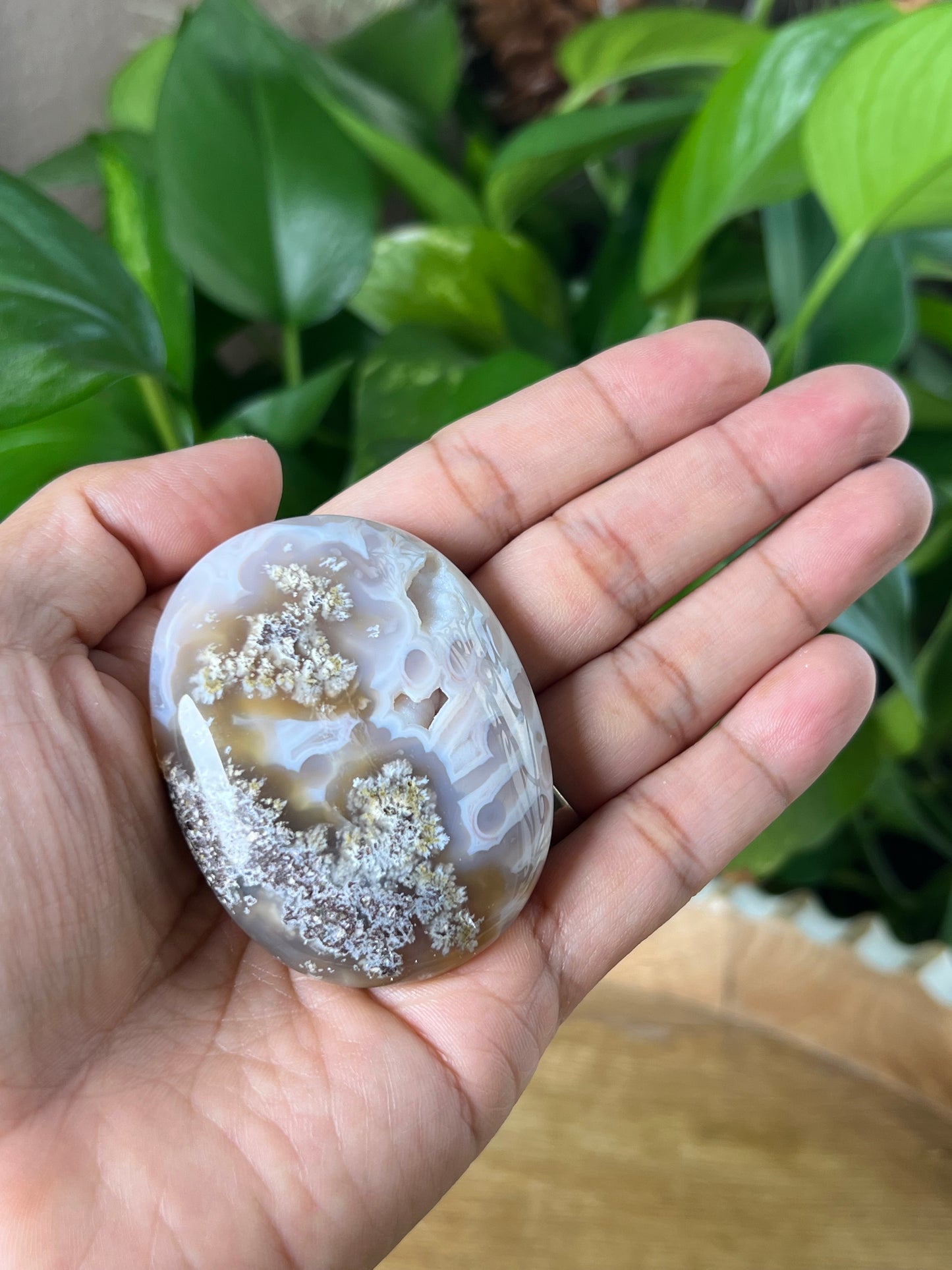 Scenic Moss Agate Palmstone