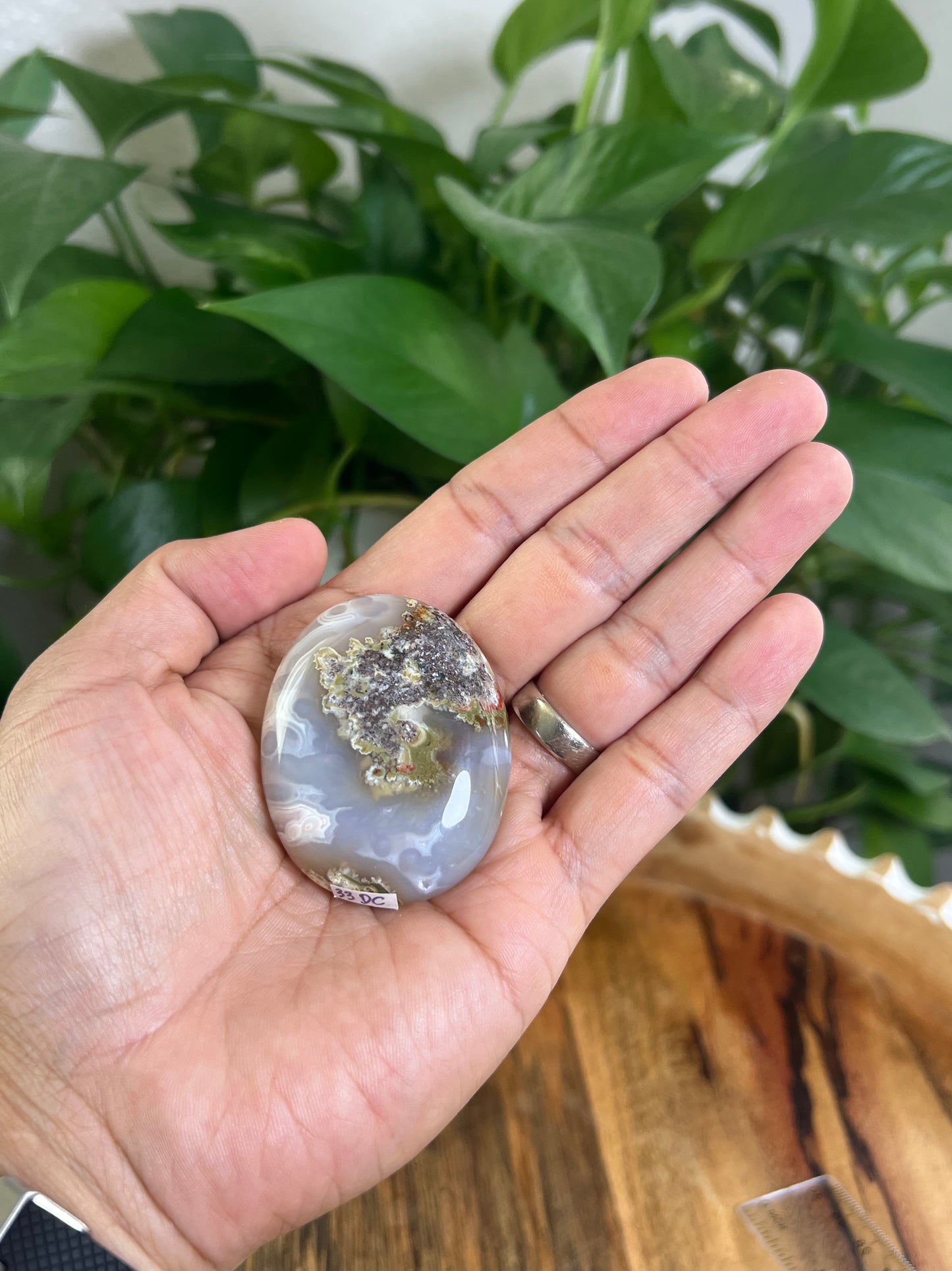 Scenic Moss Agate Palmstone: DC