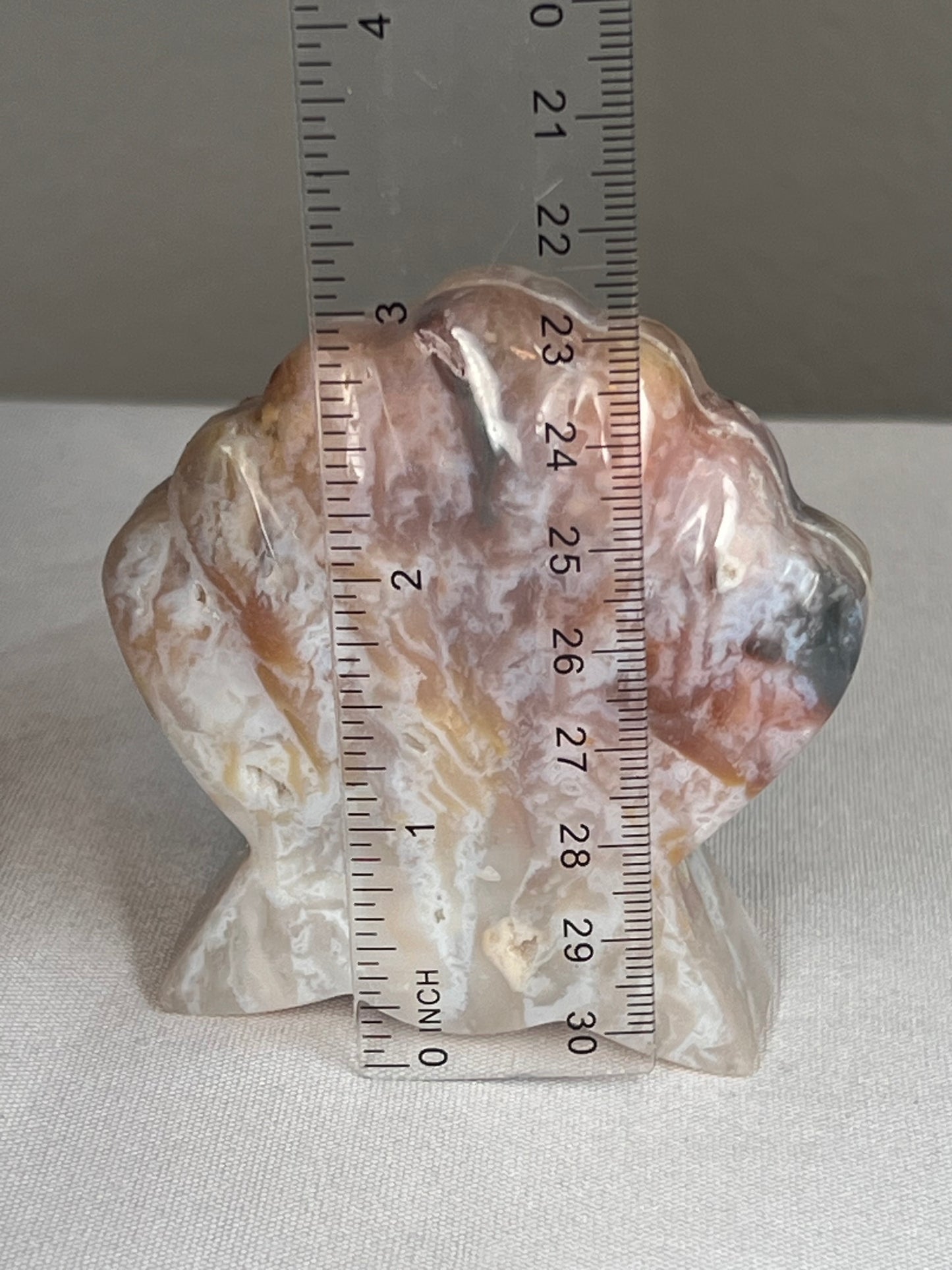 Rainbow Plume Agate Shell