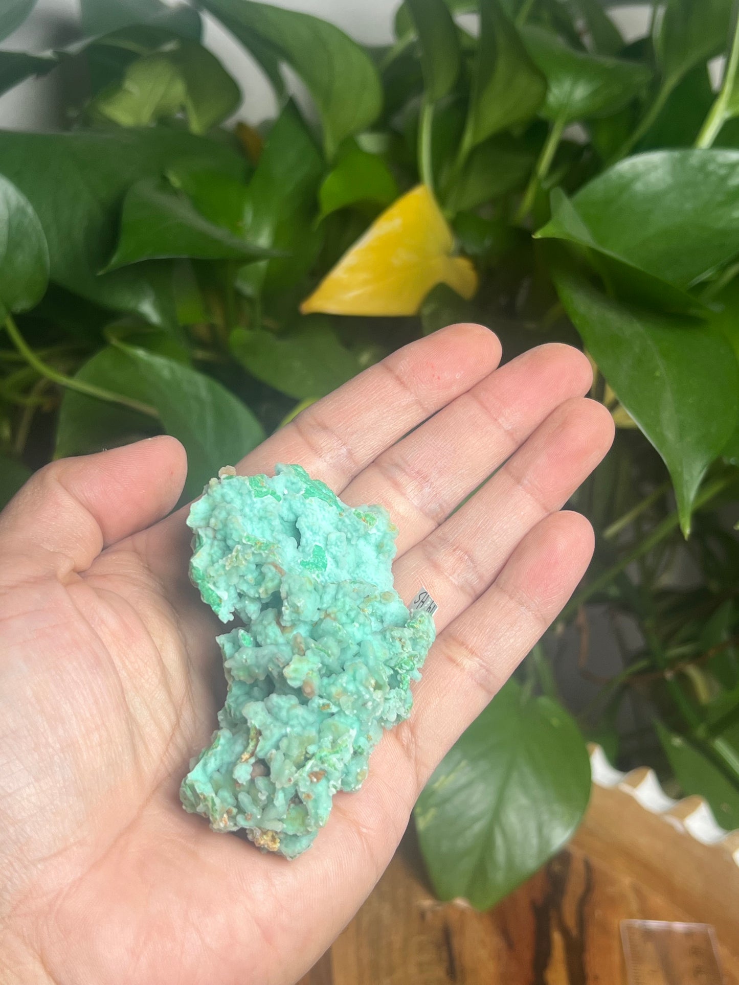 Smithsonite Specimen HS