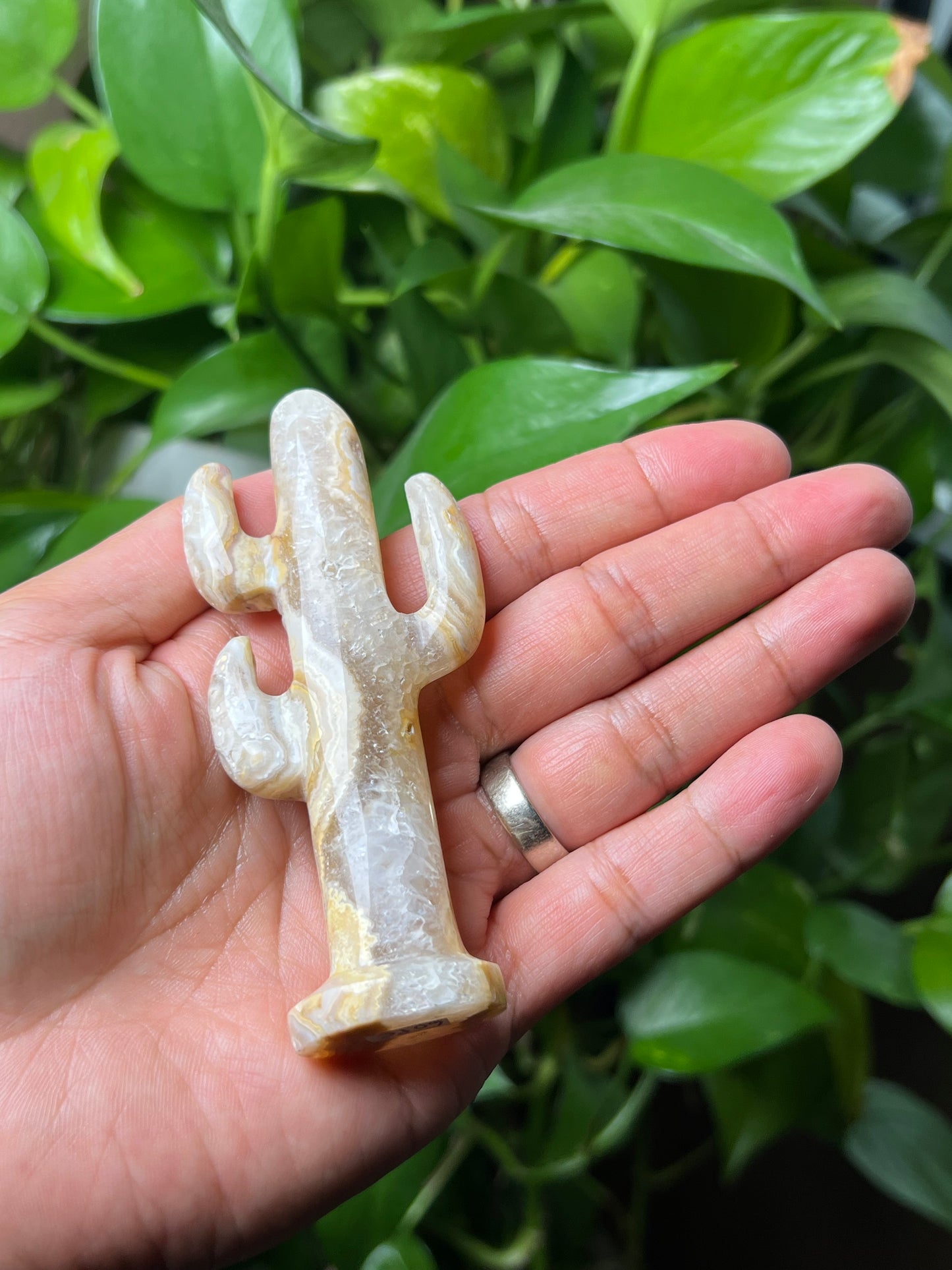 Yellow Crazy Lace Agate Cactus