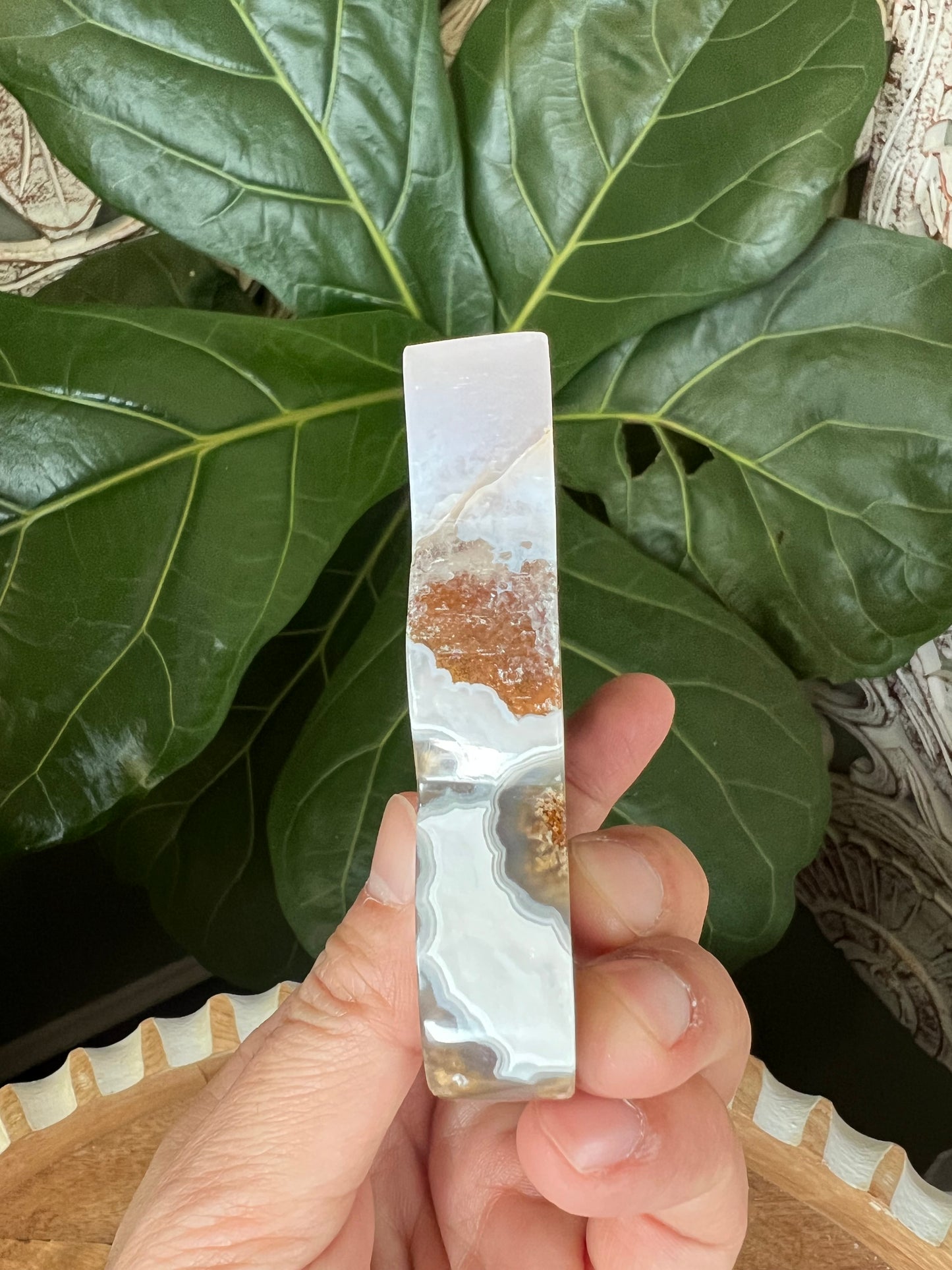 Scenic Moss Agate Butterfly