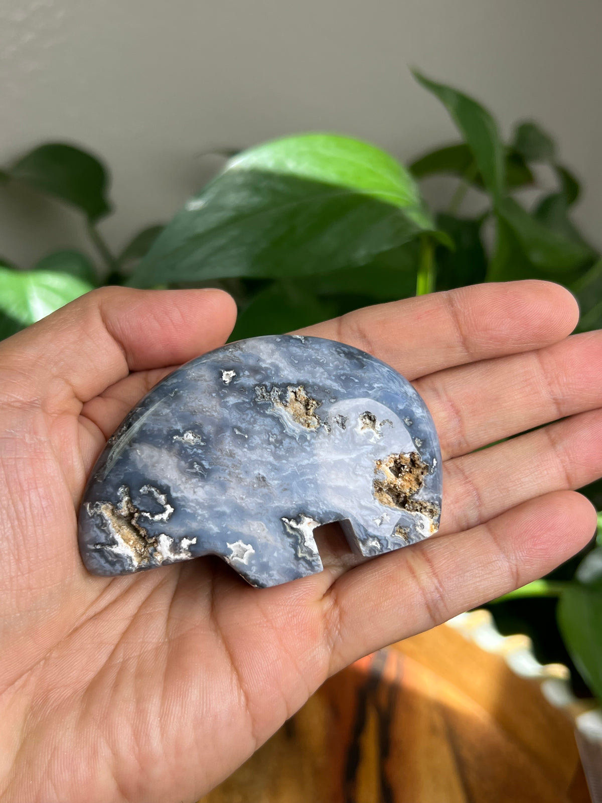 Blue Plume Agate Bear: DA